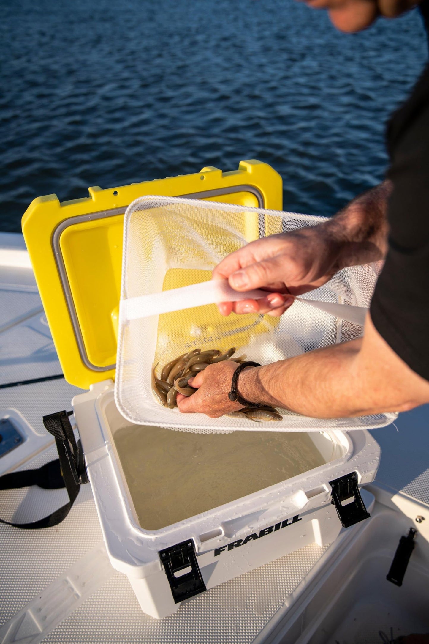 Frabill Magnum Bait Station 13 Quart Live Bait Well, White and Yellow