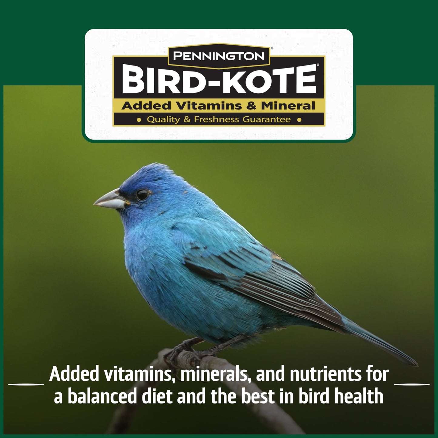 Pennington Pride Songbird Nut & Fruit Blend, Wild Bird Seed for Outside Feeders, Advanced Nutrition Formula for Bird Health, 10-lb. Bag