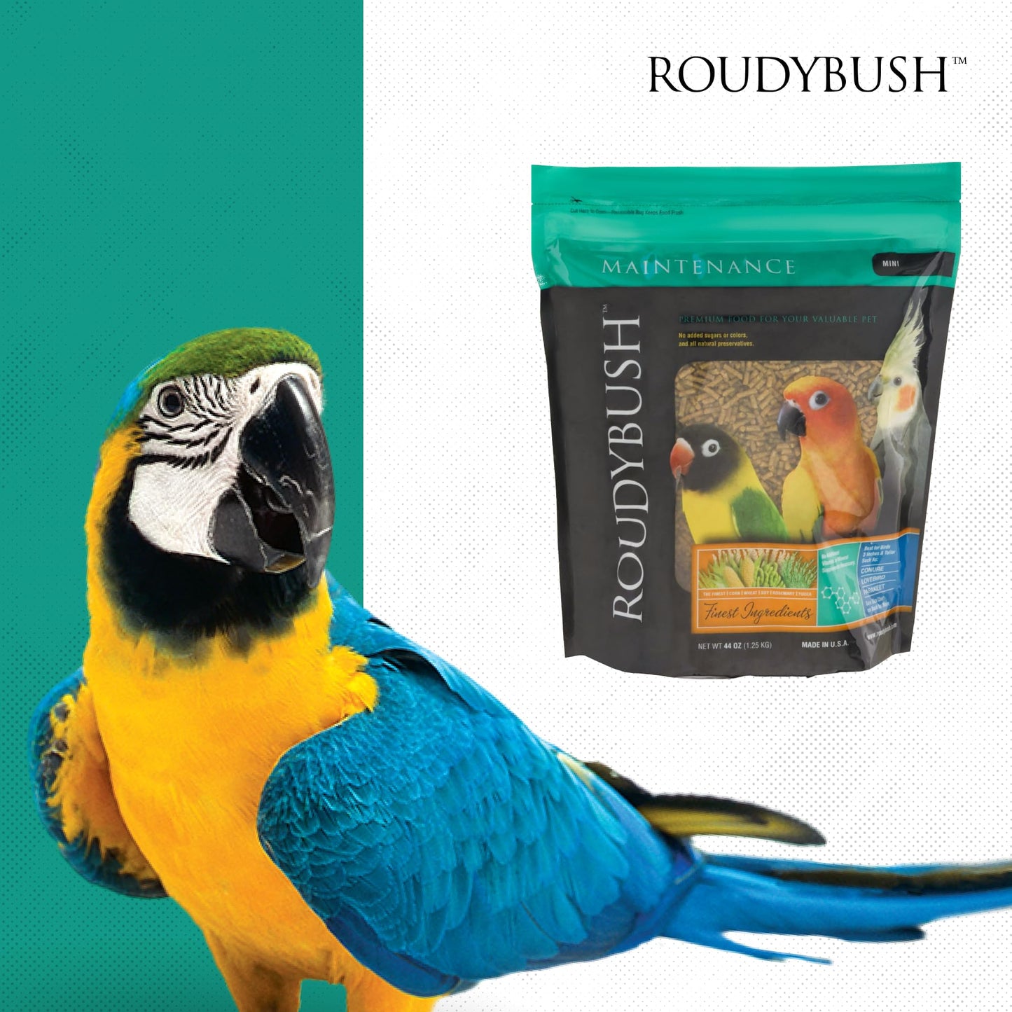 Roudybush Daily Maintenance Bird Food, Mini, 44-Ounce