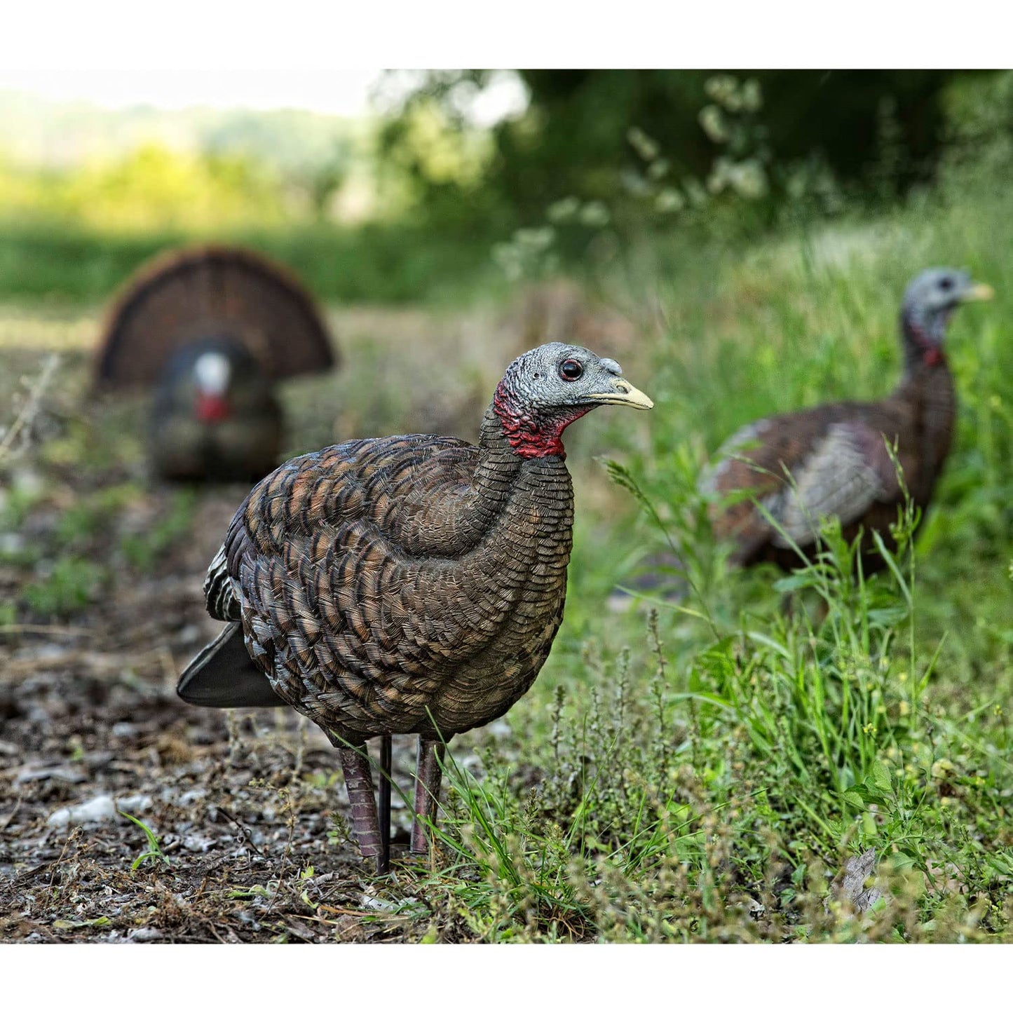 Avian-X Breeder Lifelike Collapsible Decoy LCD Folding Hen Turkey Hunting Decoy w/ 24 Inch Stake, No Flake Lifelike Paint Detailing, and Carrying Case