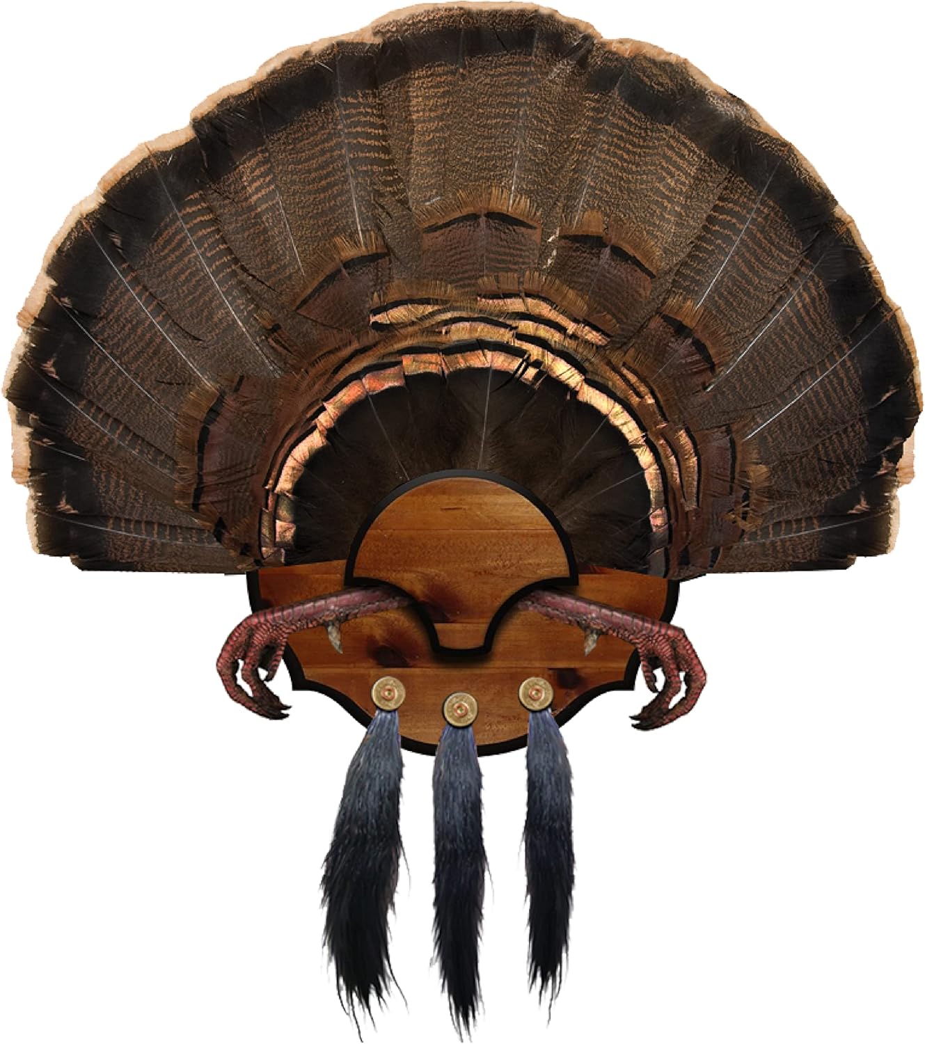 Mountain Mike's Reproductions Beard Master Turkey Mounting Kit