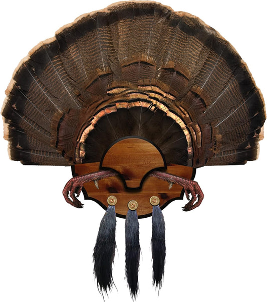 Mountain Mike's Reproductions Beard Master Turkey Mounting Kit