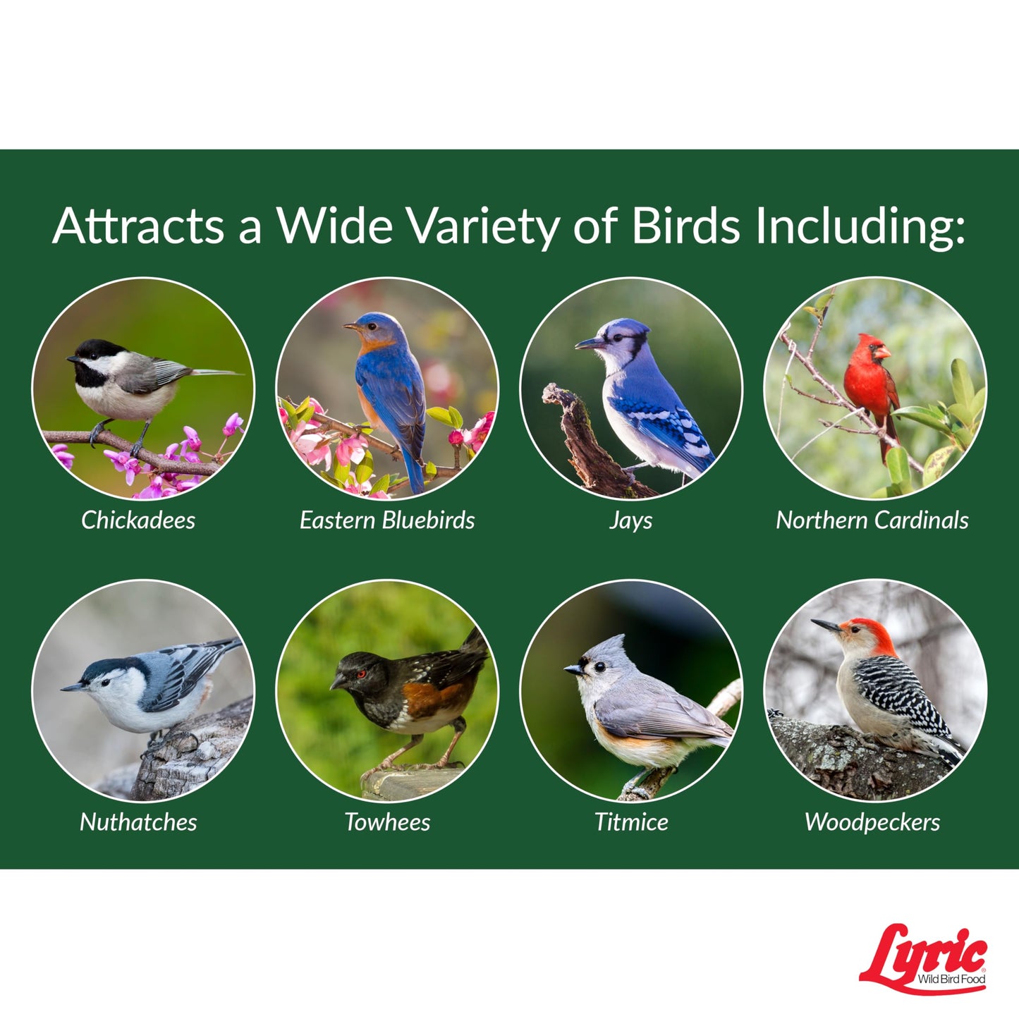 Lyric Peanut Pieces Wild Bird Seed - No Waste Bird Food - Attracts Titmice, Woodpeckers, Chickadees & More - 15 lb bag