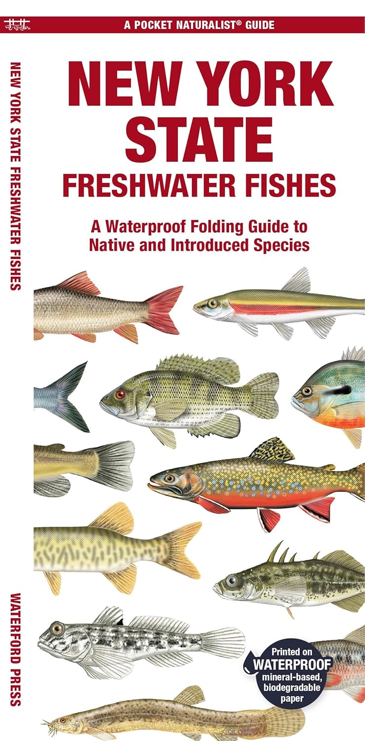 New York State Freshwater Fishes: A Folding Guide to Native and Introduced Species (Nature Observation North America)