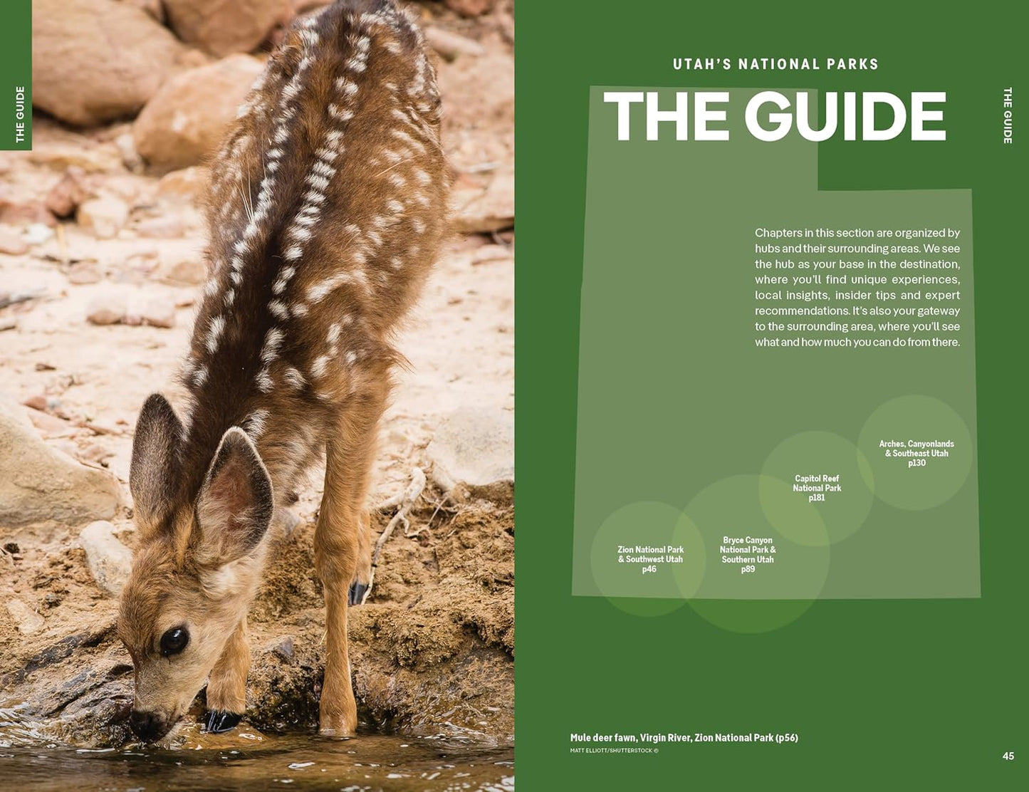 Lonely Planet Utah's National Parks: Zion, Bryce Canyon, Arches, Canyonlands & Capitol Reef (National Parks Guide)