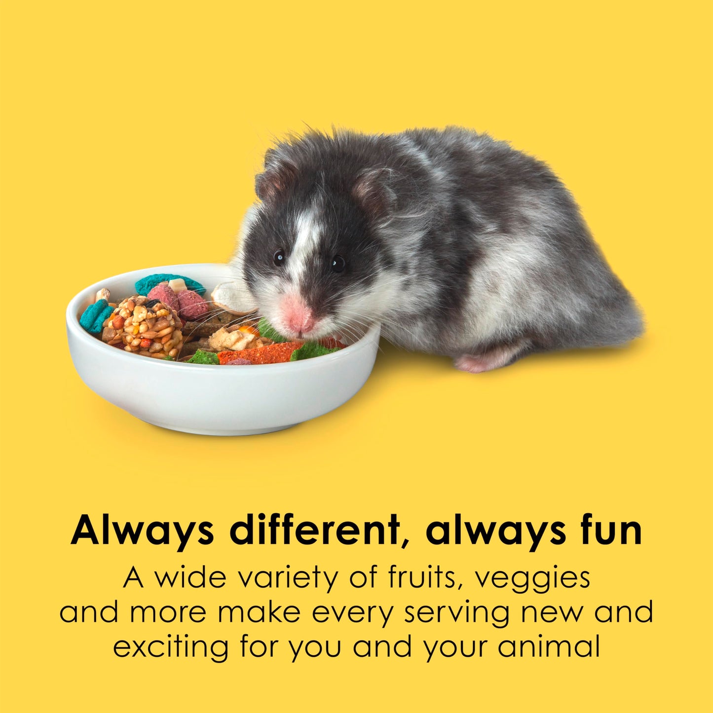 Kaytee Fiesta Hamster & Gerbil Food, Nutritious and Fun Blend, Supports Dental Health and Digestion, 4.5 pounds