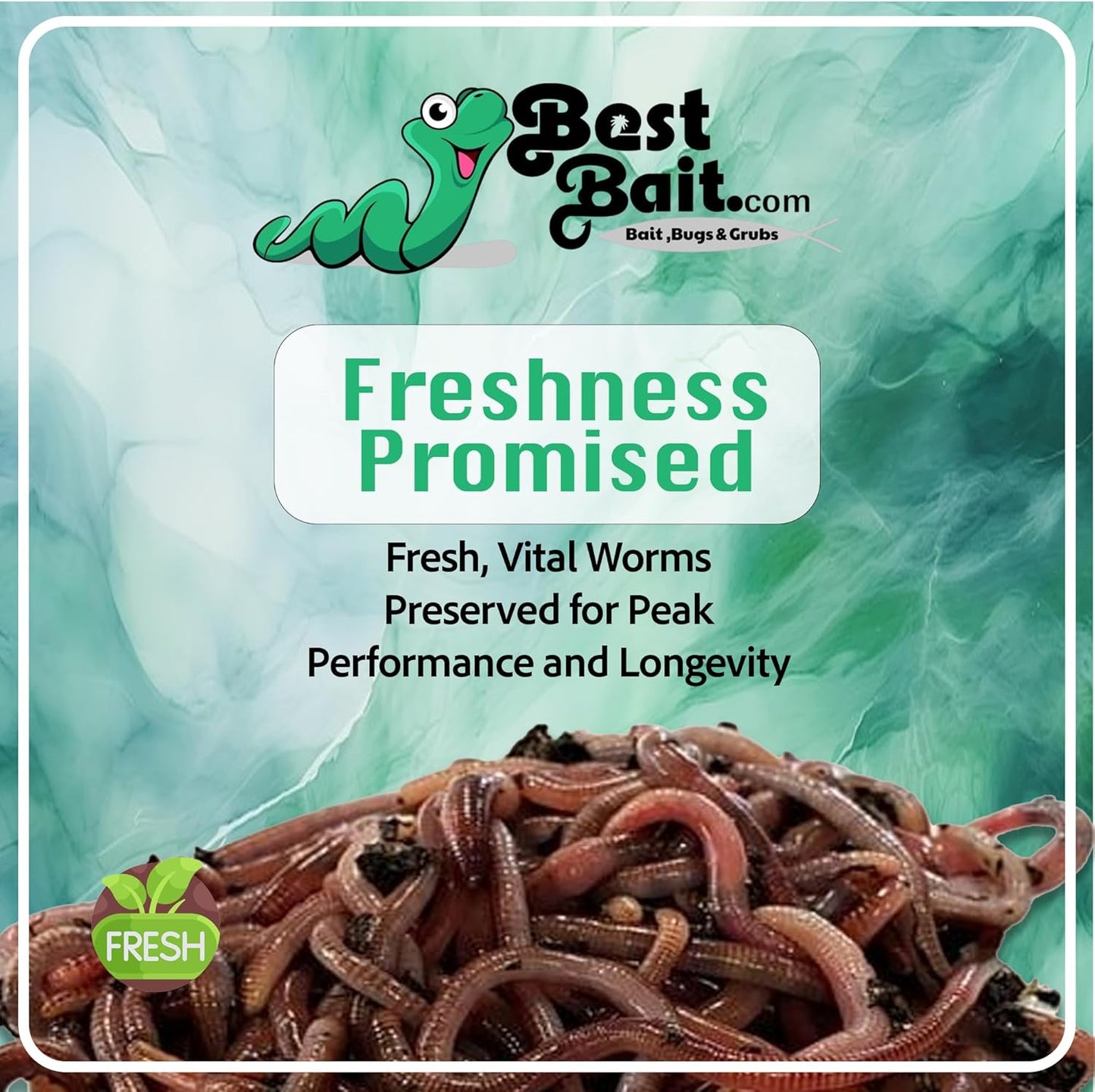 European Nightcrawlers - Approx. 125-150 Live Composting & Fishing Worms, Premium High-Performance Bait for Anglers, Versatile for Trout, Panfish, & Garden Soil Enrichment, Fresh Live Arrival Promised