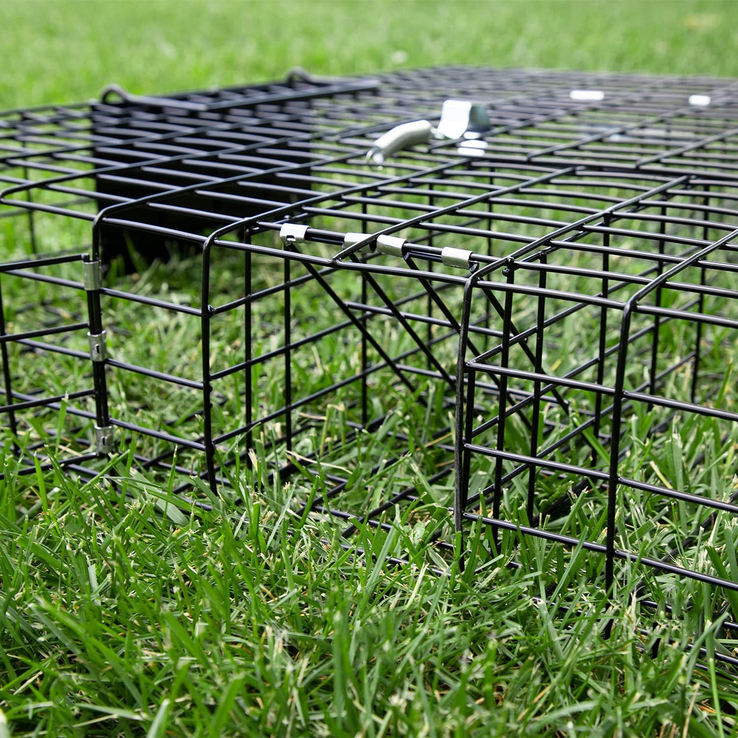 Rugged Ranch Live Chipmunk Trap, Catch & Release Cage, Large, Chipmunkinator