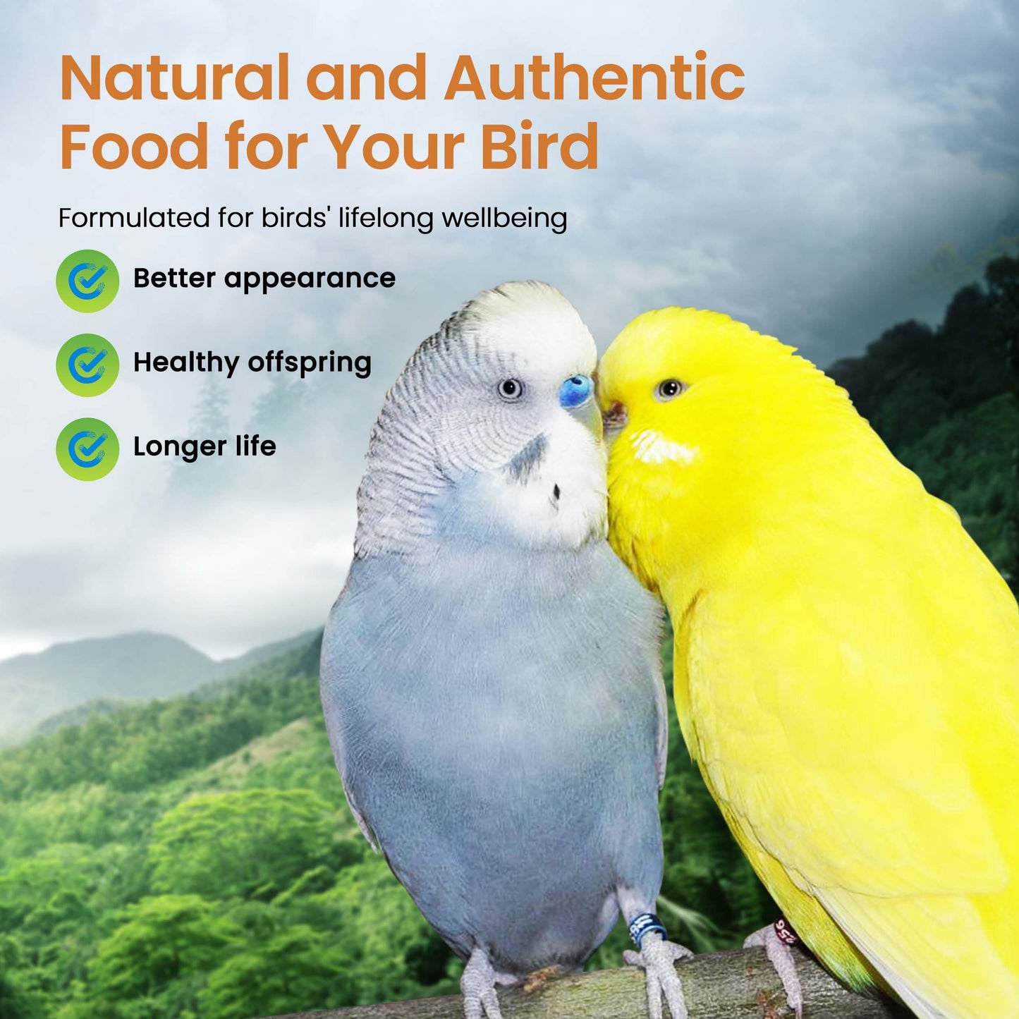 Harrison's Bird Foods High Potency Pepper Certified Organic Non-GMO Formula Pet Bird Food