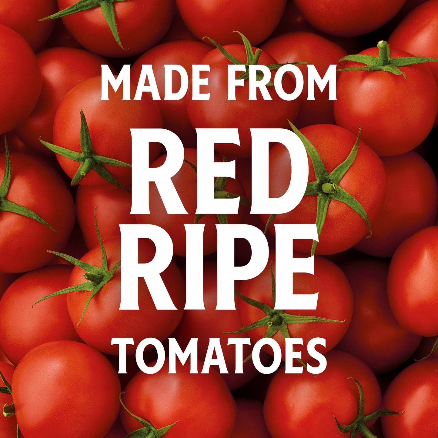 Heinz Ketchup Forever Full Inverted Bottle (20 oz, Pack of 12)