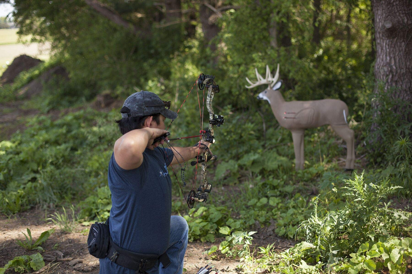 Shooter Buck 3D Deer Archery Target