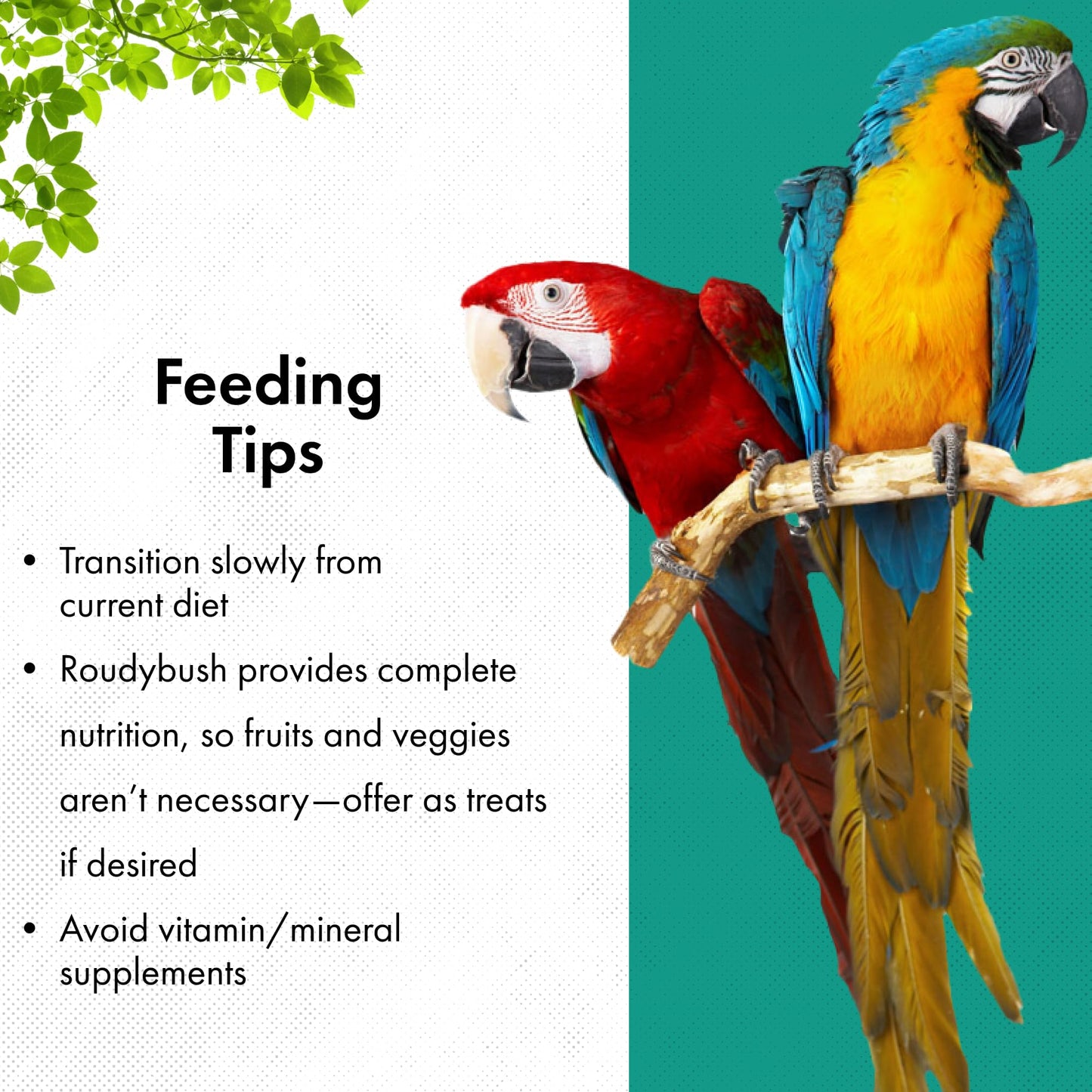 Roudybush Daily Maintenance Bird Food, Mini, 44-Ounce