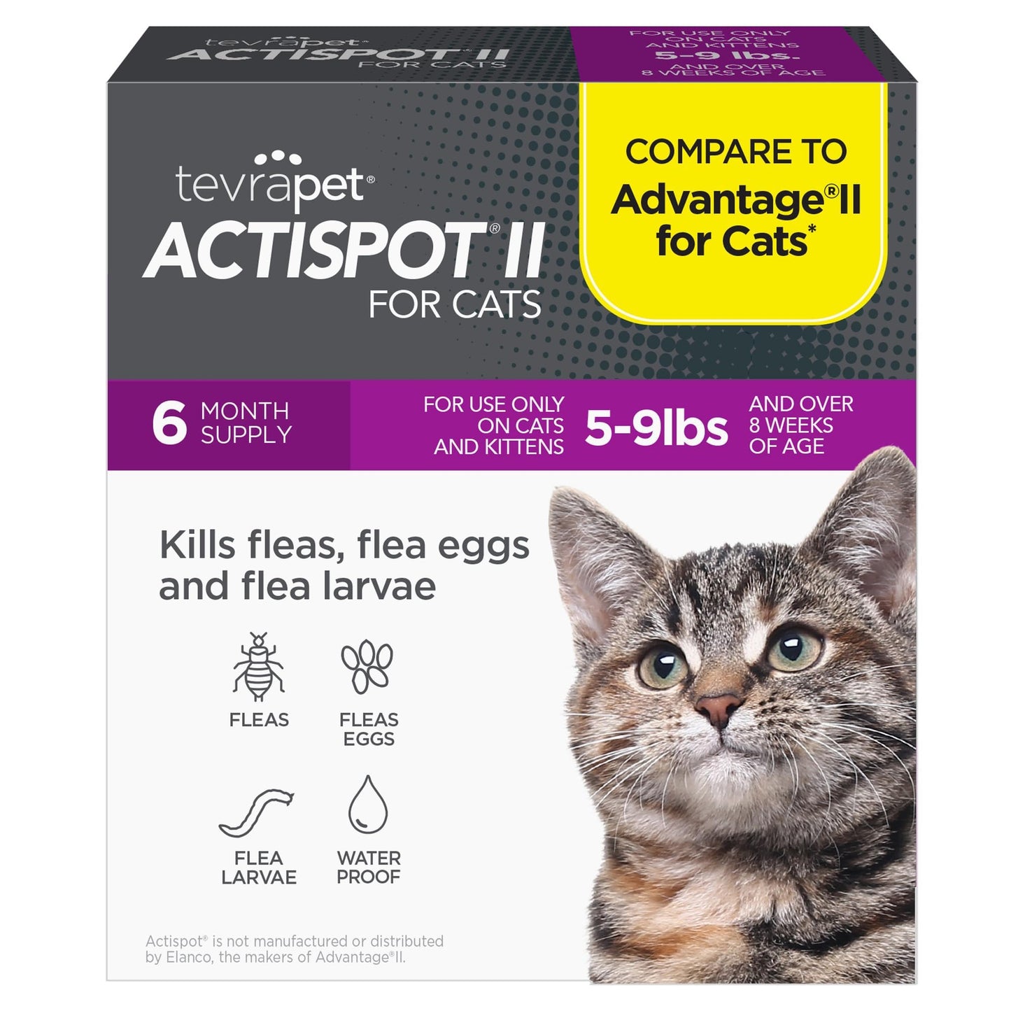 TevraPet Actispot II Flea Treatment for Large Cats 9+ lbs | 6 Doses | Powerful Prevention and Control