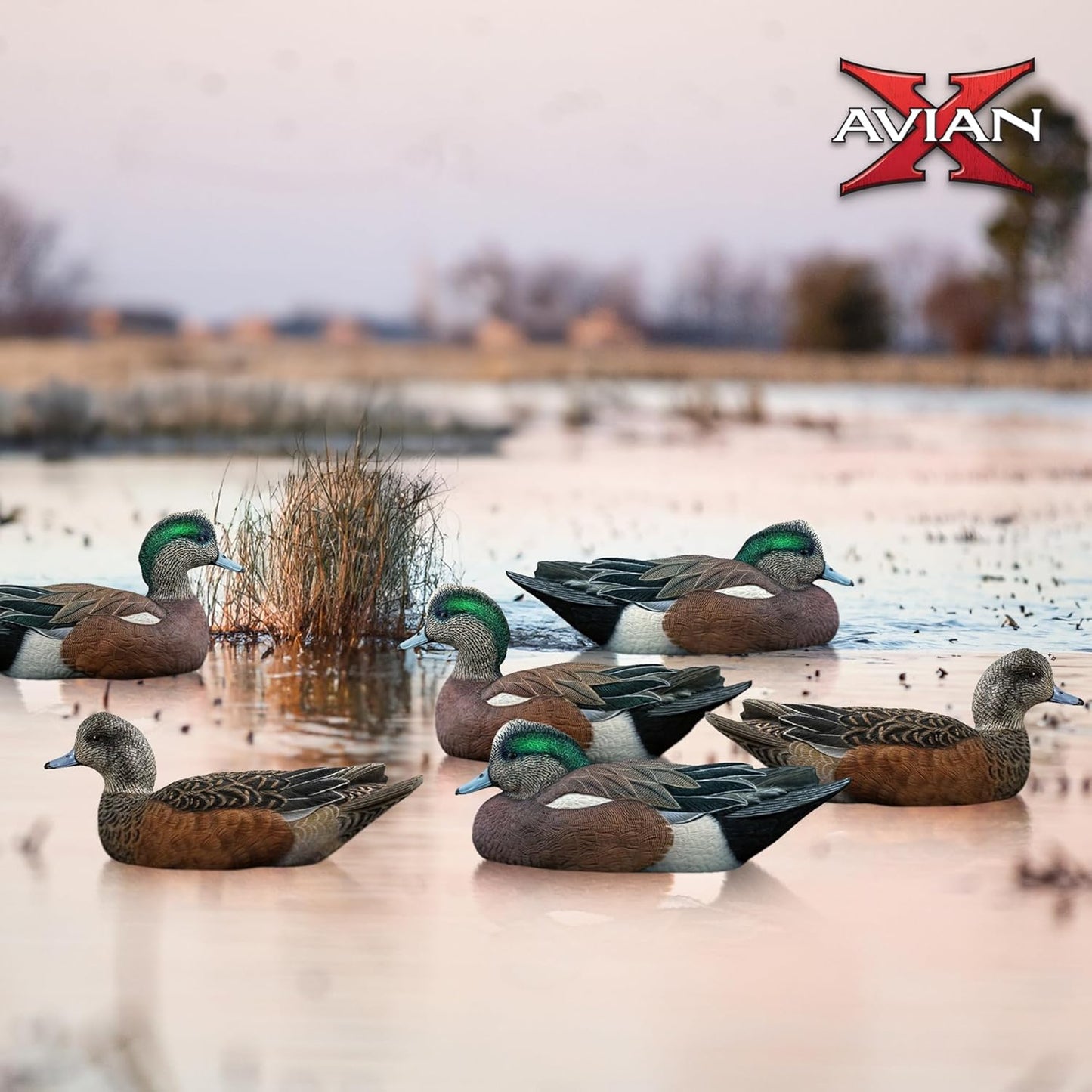 Avian X Topflight Wigeons Decoys with Topflight Pintails and Gadwall Decoys, Realistic Floating Decoys, 6 Pack Each, Multicolor