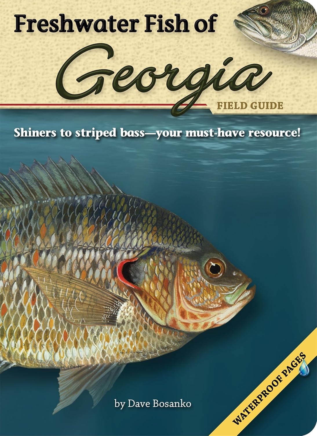 Freshwater Fish of Georgia Field Guide (Fish Identification Guides)