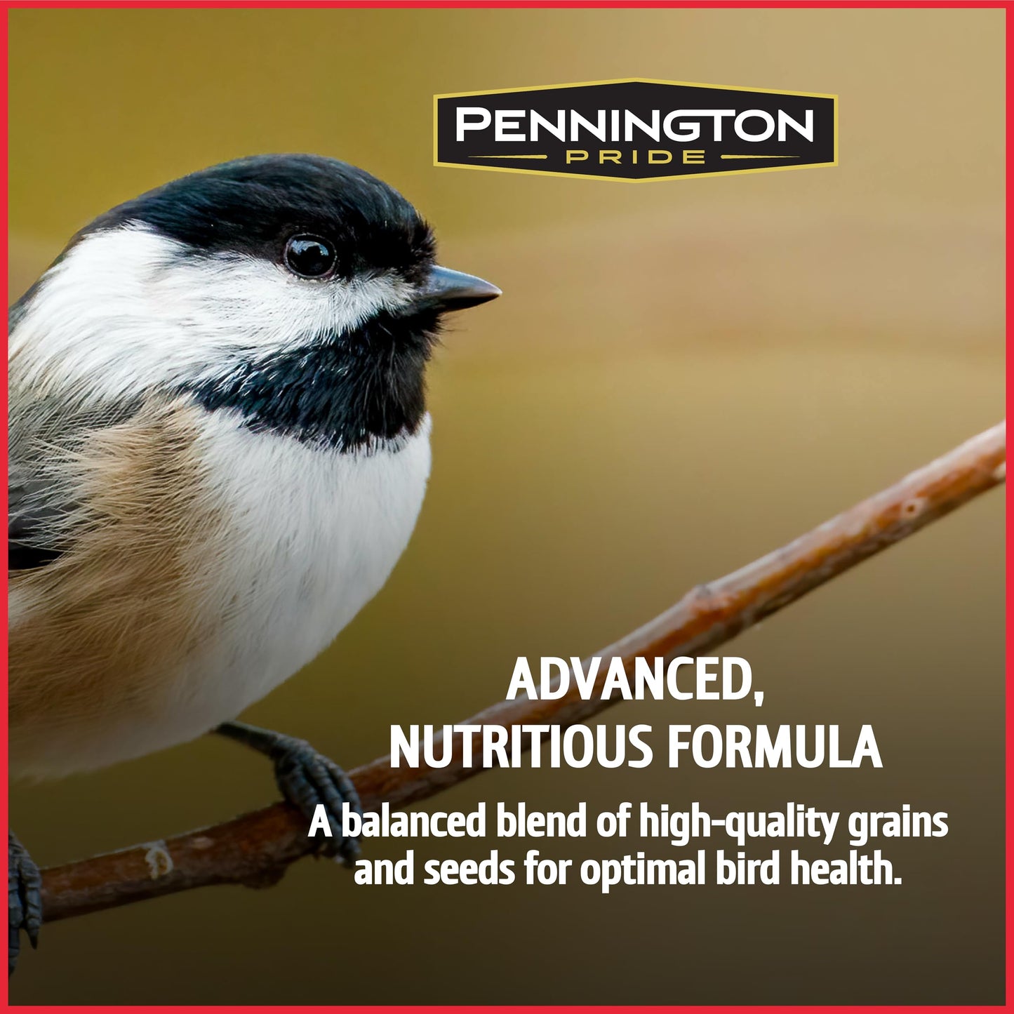 Pennington Pride Songbird Nut & Fruit Blend, Wild Bird Seed for Outside Feeders, Advanced Nutrition Formula for Bird Health, 10-lb. Bag