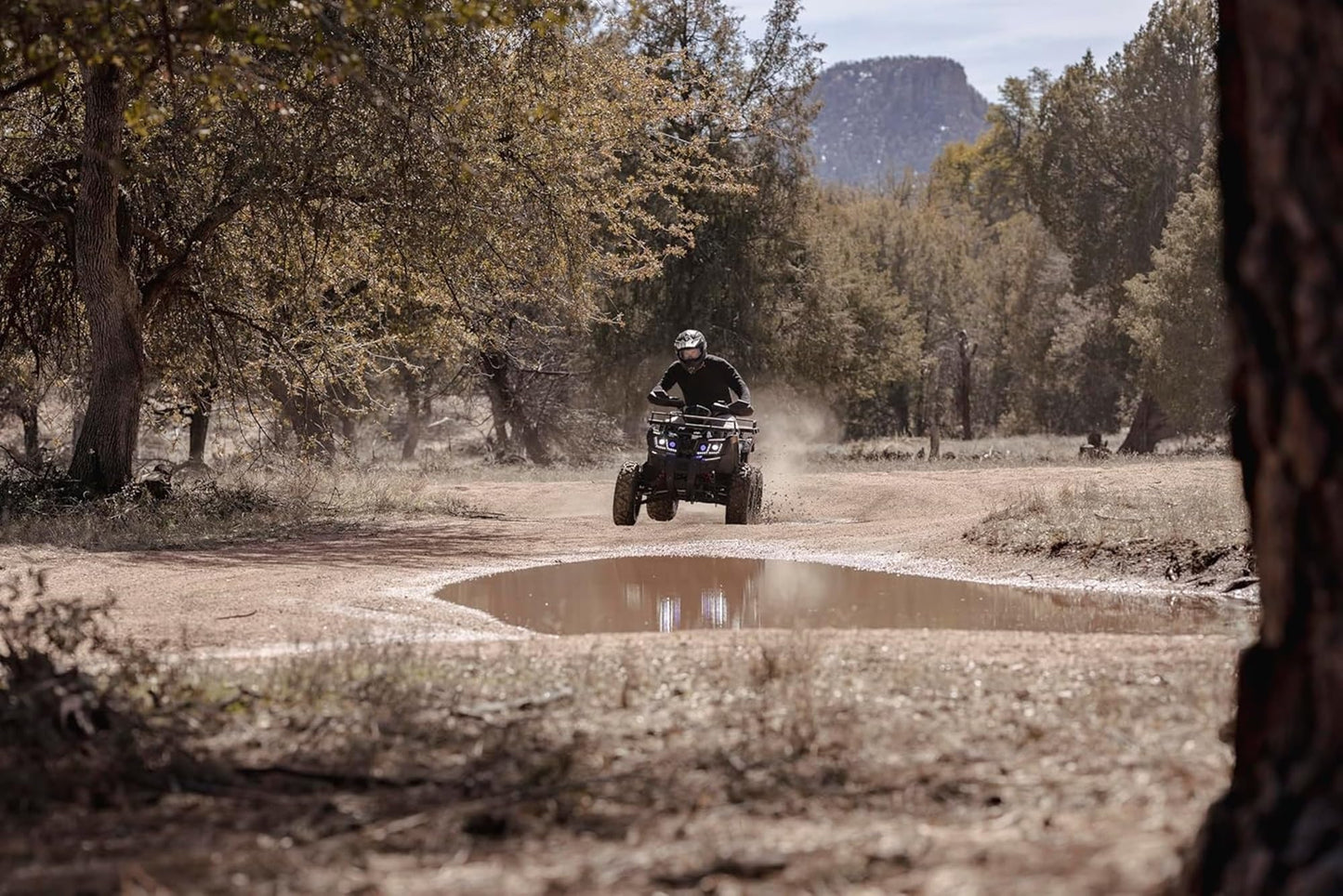 Coleman Powersports AT200R 169cc Gas Powered Adult ATV, Hydraulic Disc Brakes, Independent Suspension, 330 lbs Maximum Load, Heavy-Duty Off-Road Utility Vehicle