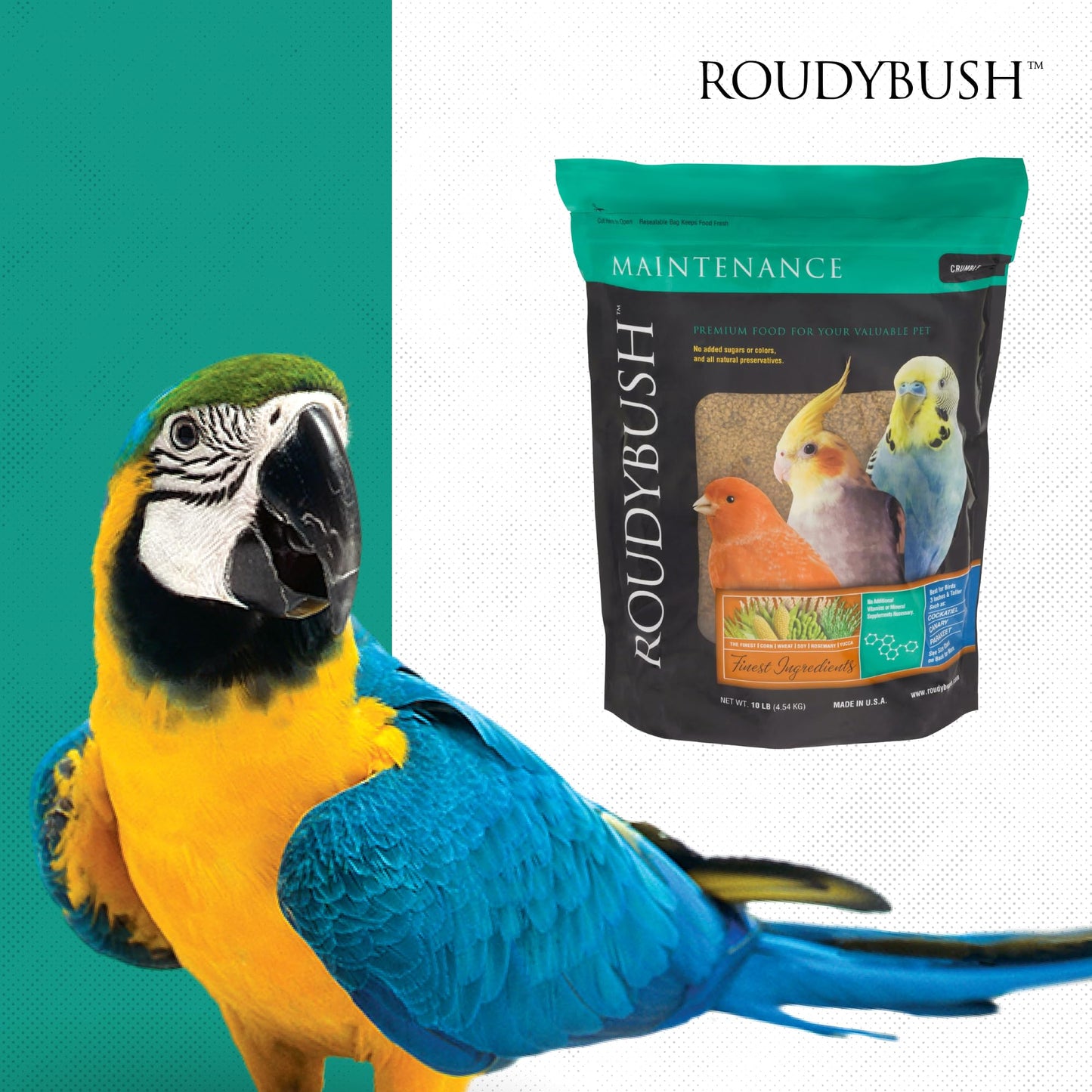 Roudybush Daily Maintenance Bird Food, Mini, 44-Ounce