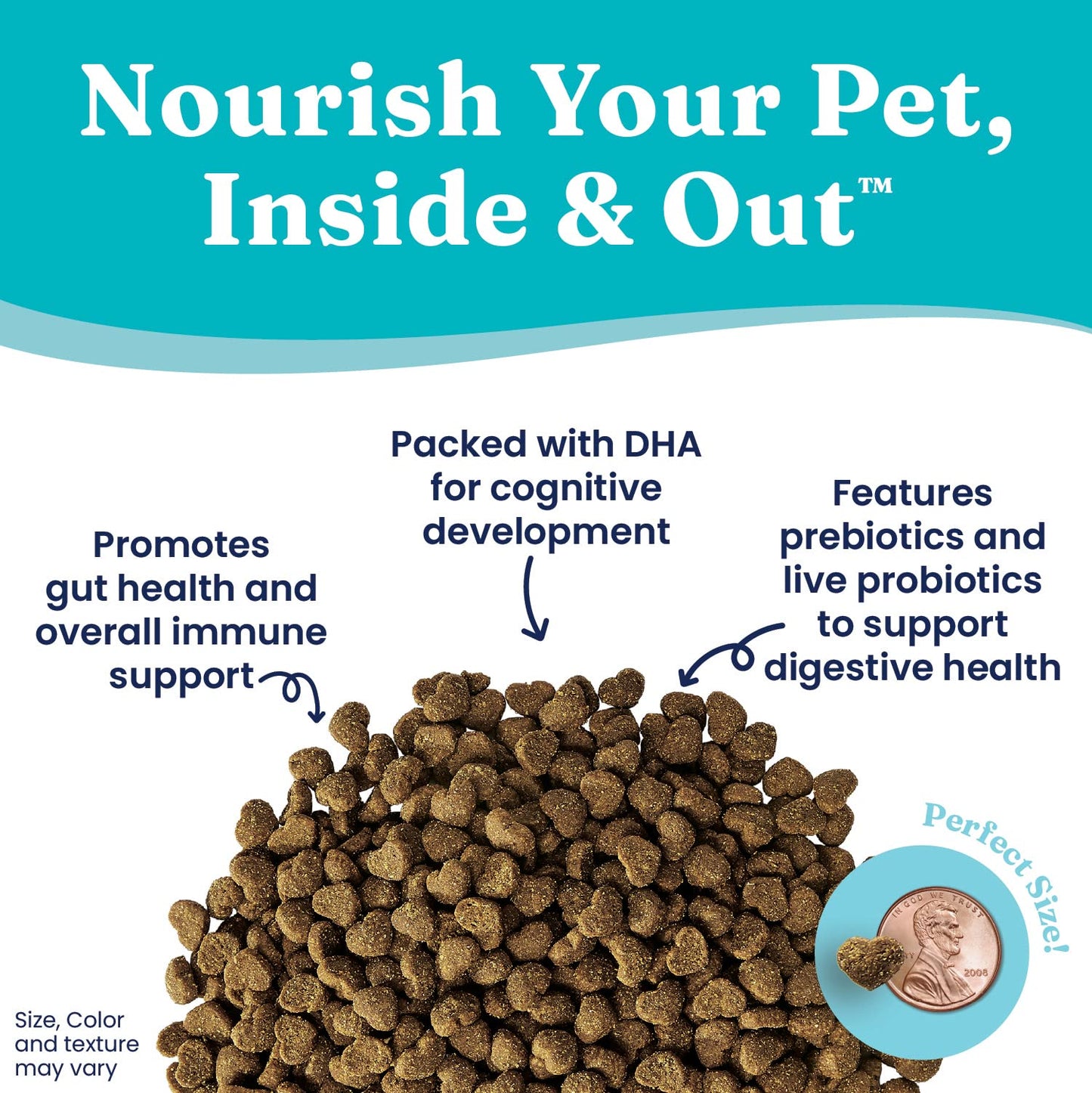 Solid Gold High Protein Dry Cat Food - Grain Free & Gluten Free Chicken Cat Dry Food w/Probiotics for Gut Health & Digestion - High Fiber & Omega 3 - Low Carb Superfood Kibble for Cats All Ages - 6LB
