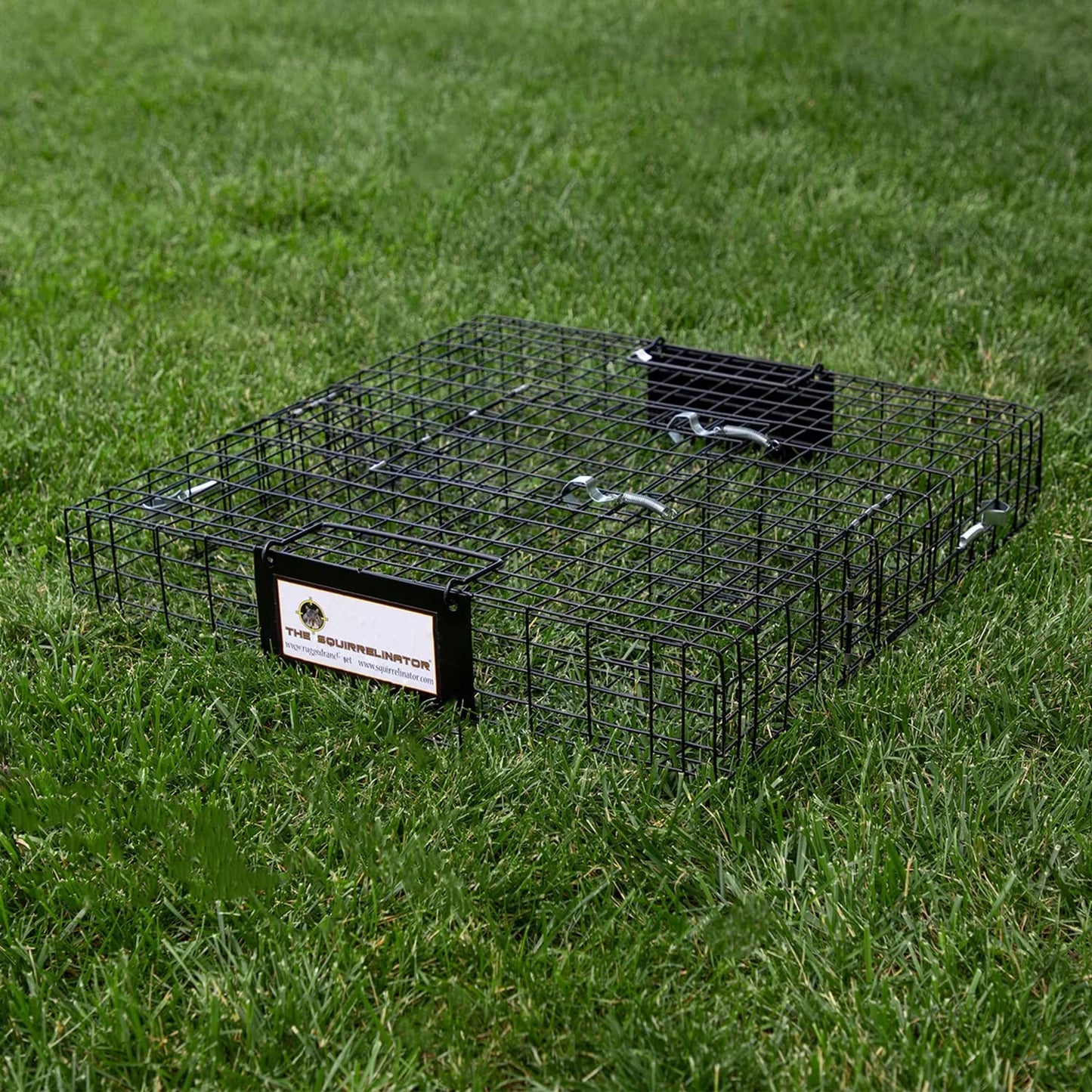 Rugged Ranch Live Chipmunk Trap, Catch & Release Cage, Large, Chipmunkinator