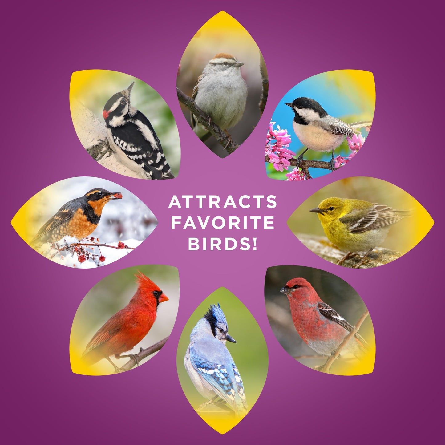 Audubon Park Nut & Fruit Wild Bird Seed – 15 lb. Premium Blend with Sunflower Seeds, Peanuts, Safflower & Dried Fruit – Bird Food for Outside Feeders