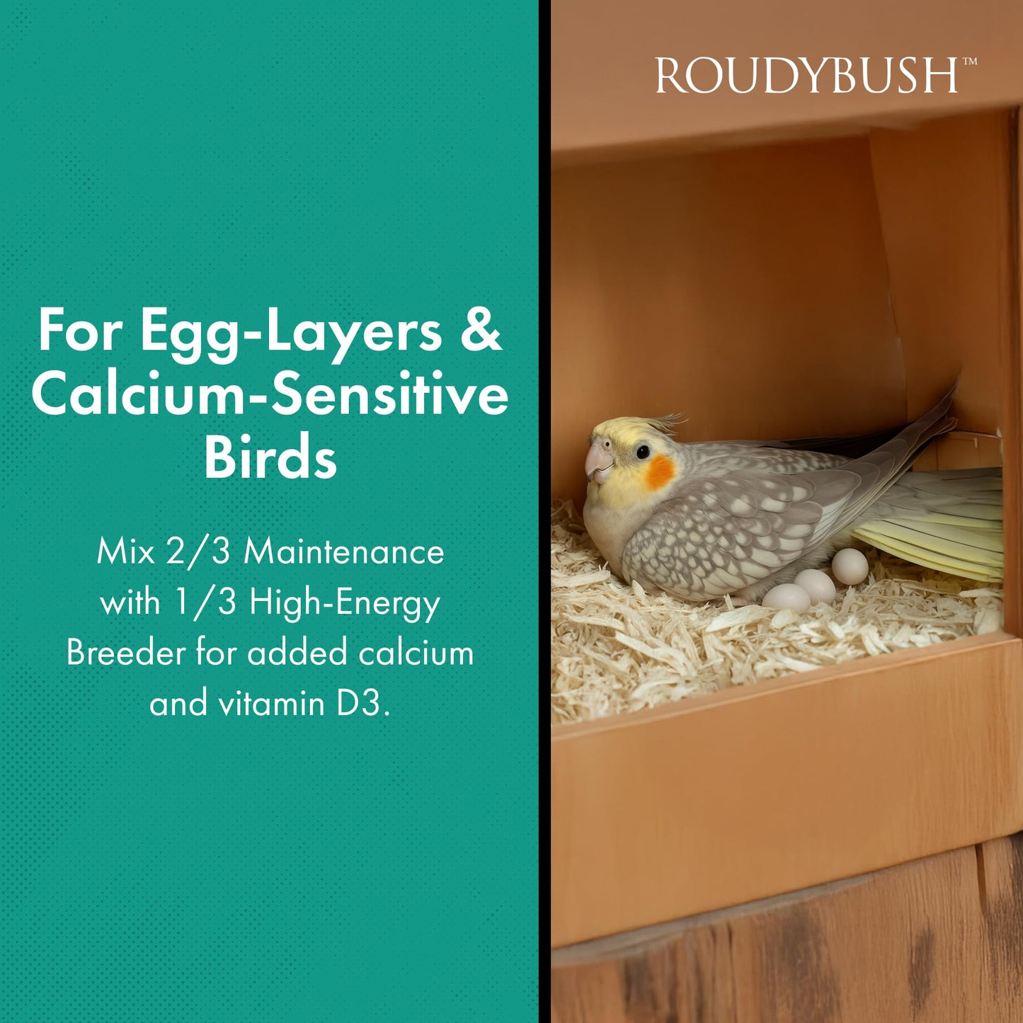 Roudybush Daily Maintenance Bird Food, Mini, 44-Ounce