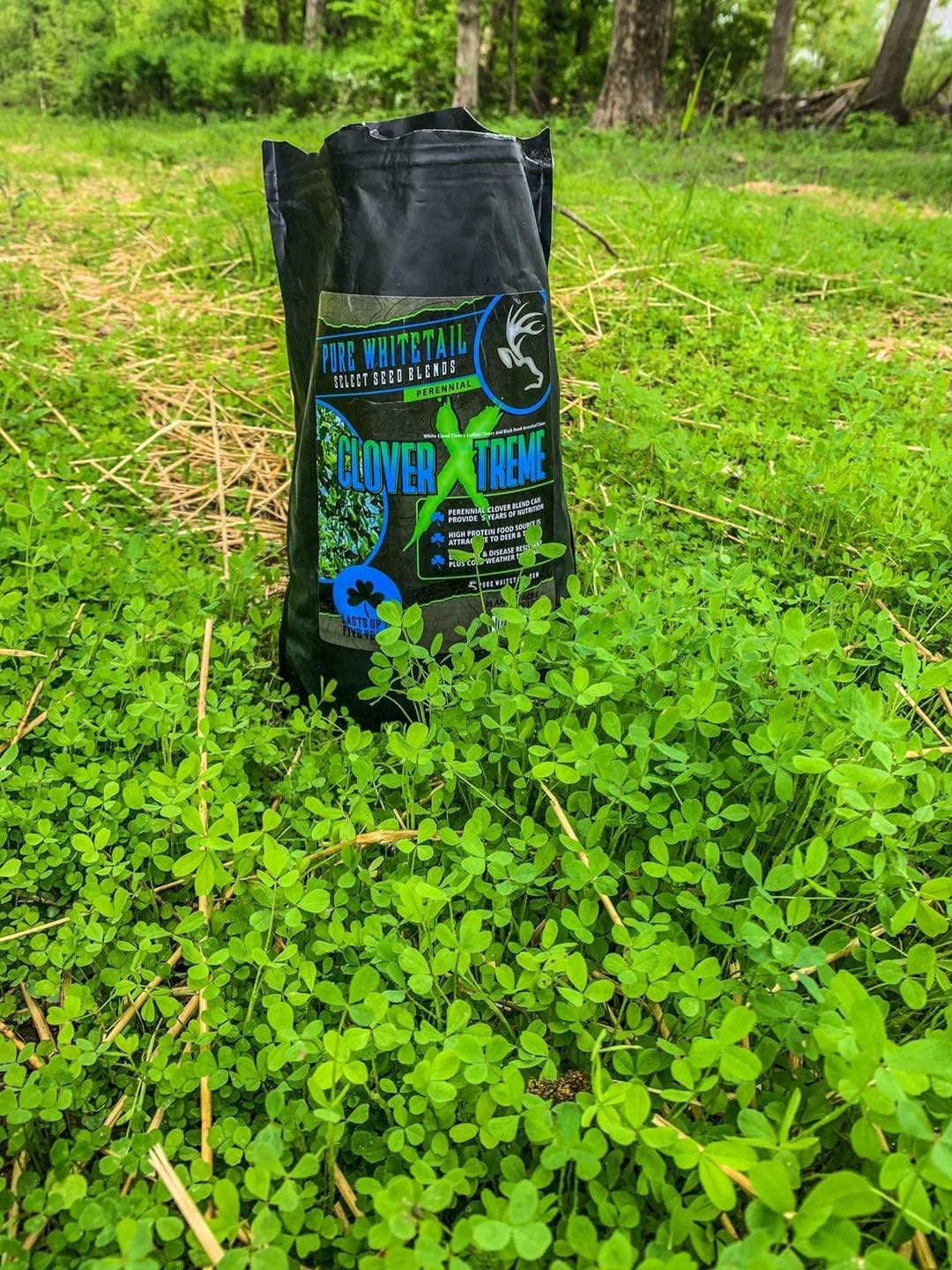 Shady Patch | All Year Deer Feeder | No Plow Food Plot Seed for Deer | Deer Food Plot Seed | White Clover Winfred Forage Brassica Rye Grass Rape Seeds| 5 lb Bags | 3-Pack