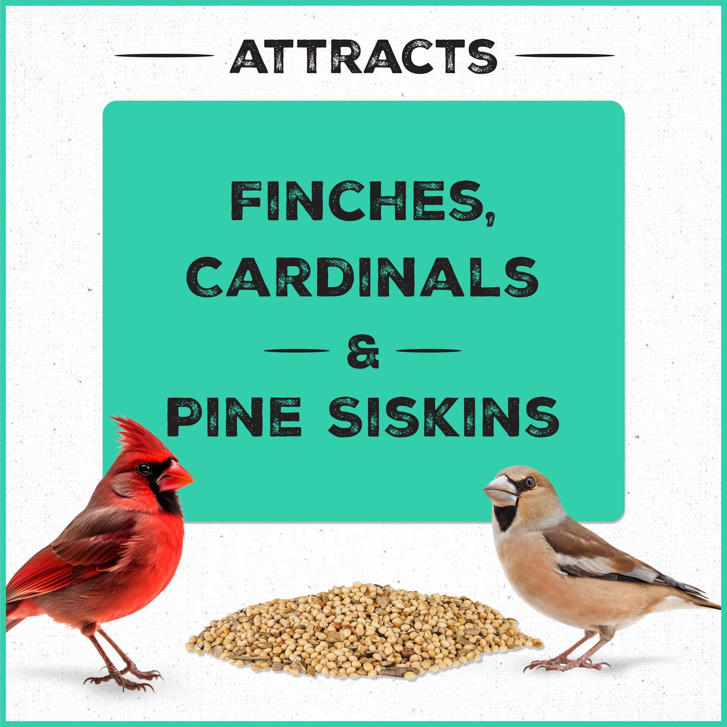 Pennington Pride Songbird Nut & Fruit Blend, Wild Bird Seed for Outside Feeders, Advanced Nutrition Formula for Bird Health, 10-lb. Bag