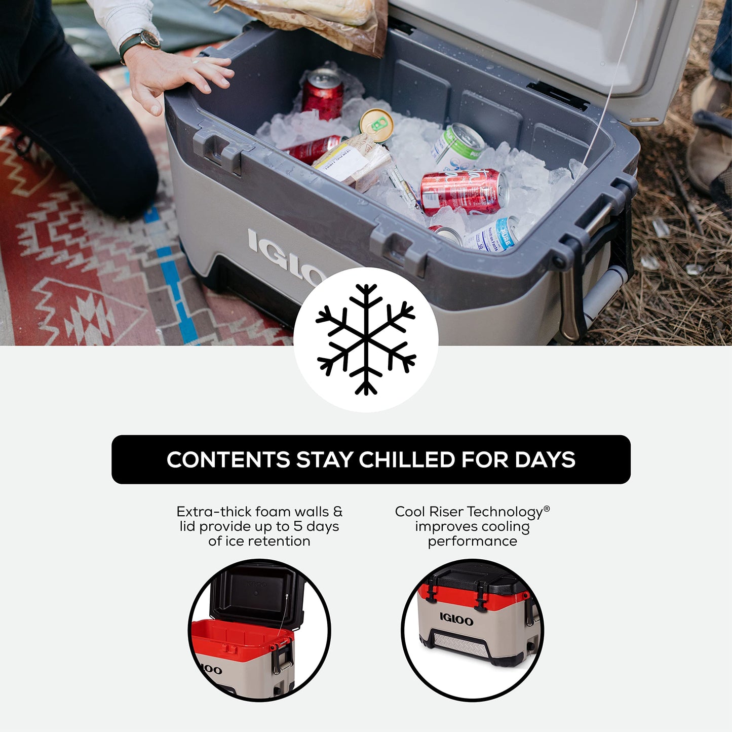 Igloo BMX Hard Coolers (25-72QT)