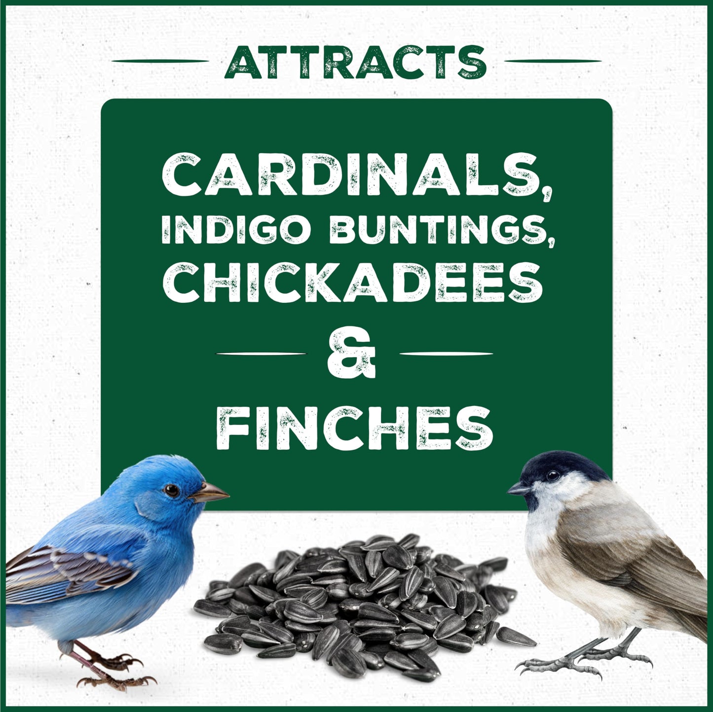 Pennington Pride Songbird Nut & Fruit Blend, Wild Bird Seed for Outside Feeders, Advanced Nutrition Formula for Bird Health, 10-lb. Bag