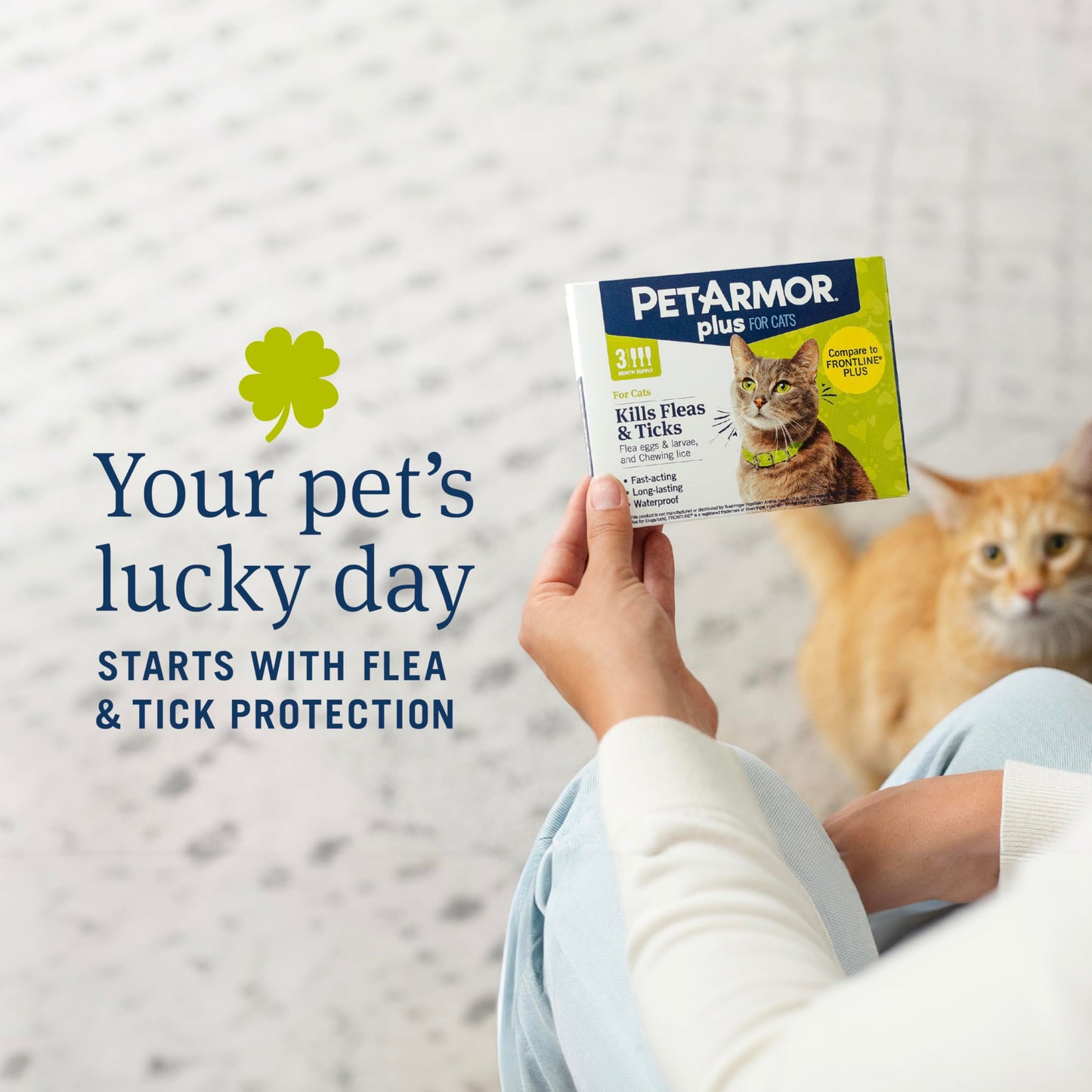 PetArmor Plus Flea and Tick Prevention for Cats, Cat Flea and Tick Treatment, 6 Dose, Waterproof Topical, Fast Acting, Cats Over 1.5 lbs