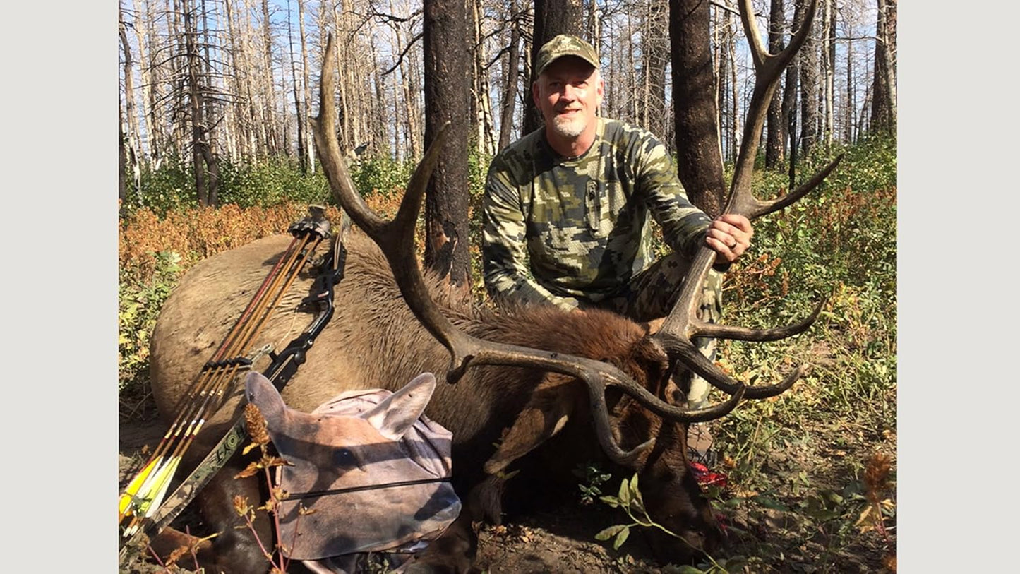 RMEF Cow Elk by Montana Decoy