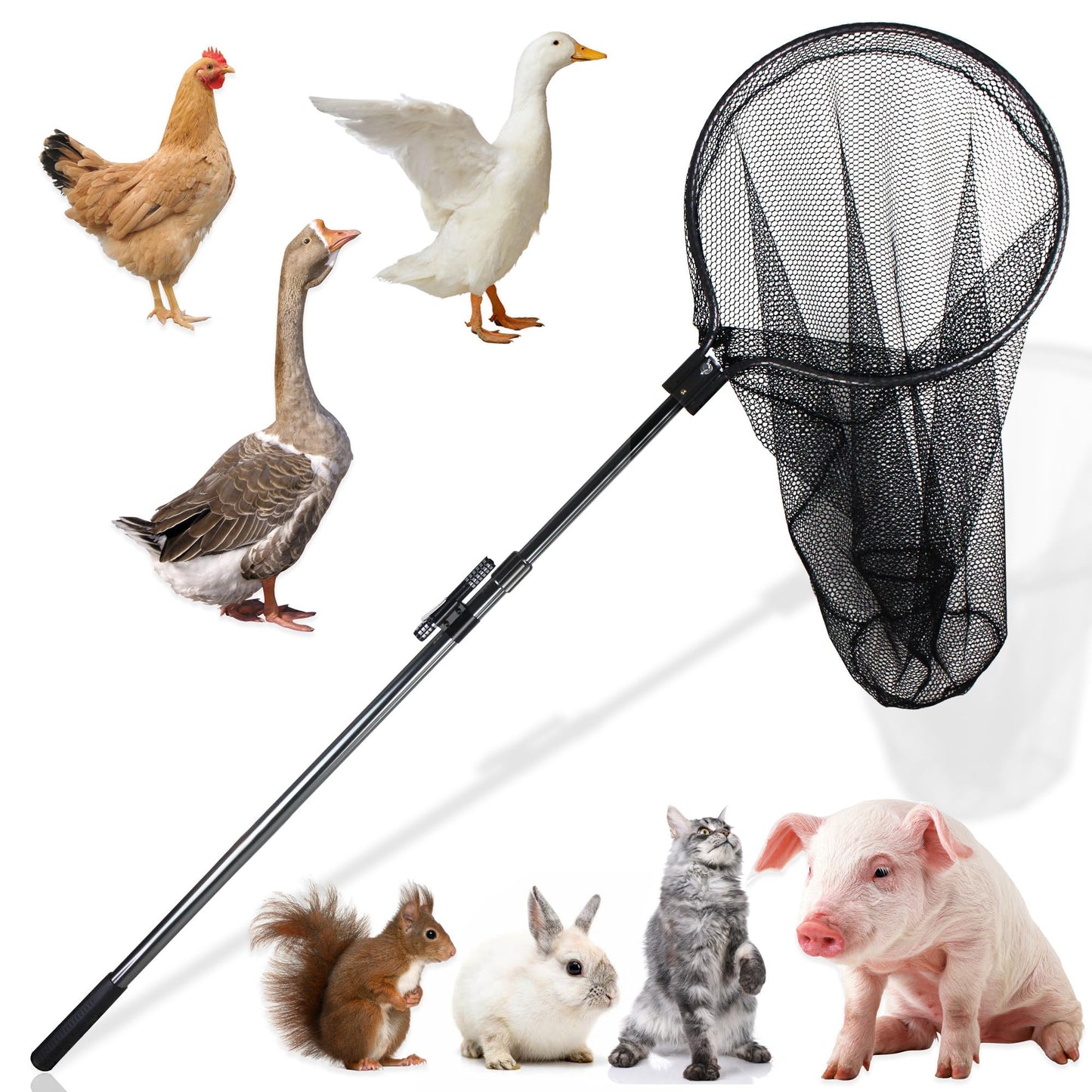 Catch Net Small Animal Control Net Poultry Catching Trap Tool for Cat, Chicken, Duck, Goose, Fish, Bird and Others (43~78" Telescoping Handle with 20.5" Net Opening)