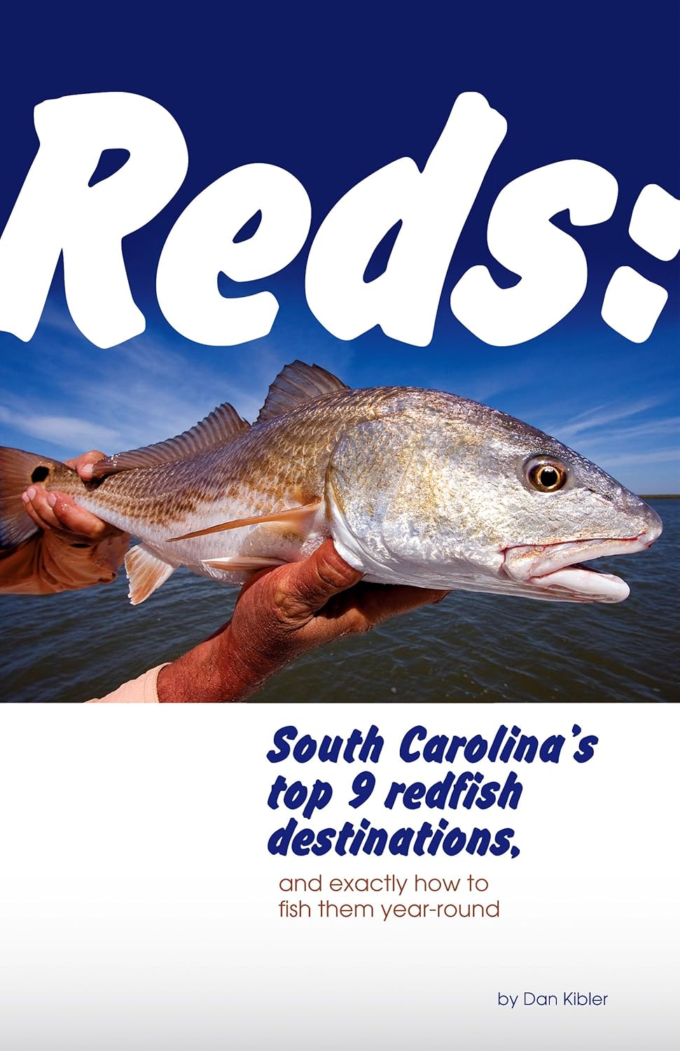Reds: South Carolina's top 9 redfish destinations, and exactly how to fish them year-round