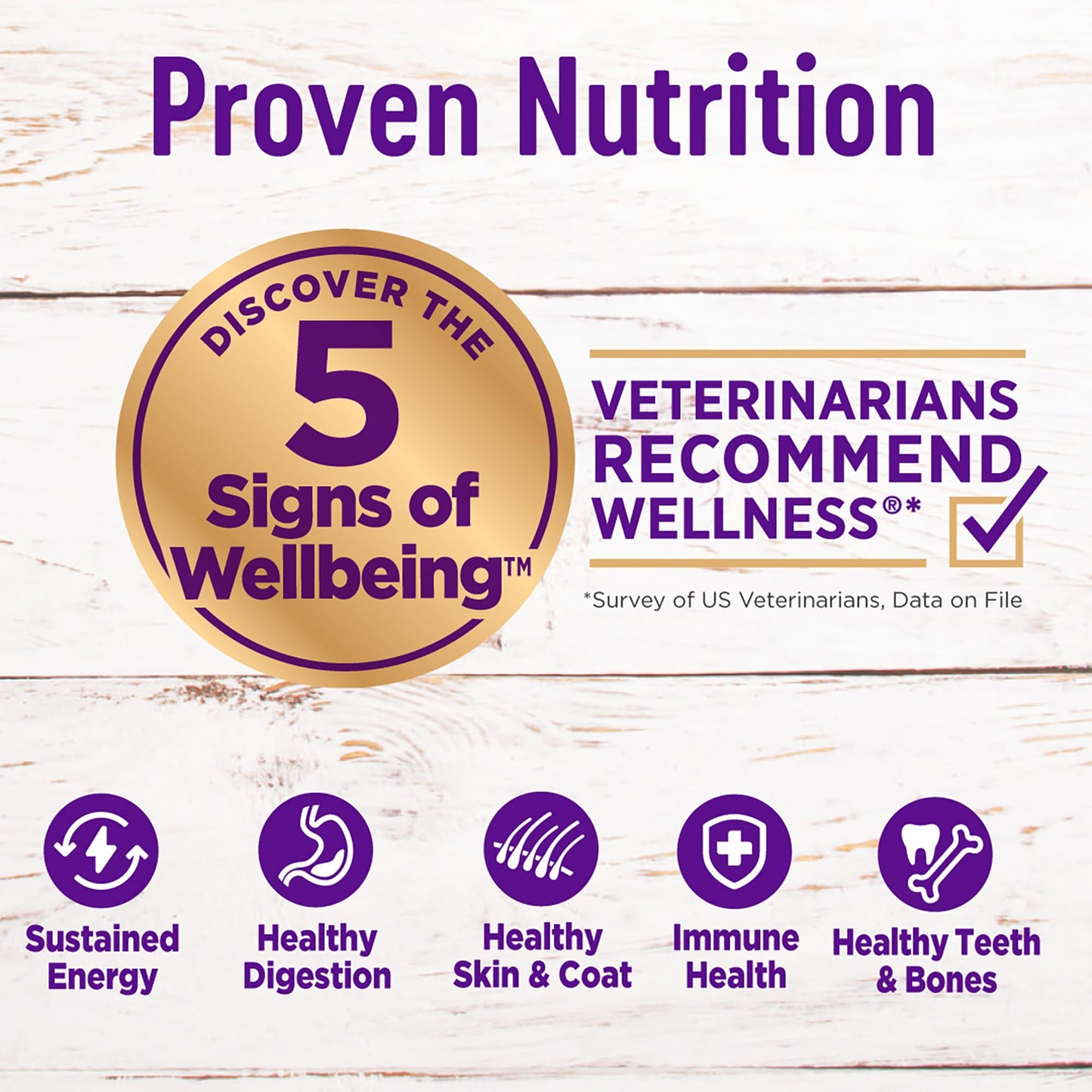 Wellness Complete Health Dry Dog Food, Wholesome Grains, Natural, Lamb & Barley Recipe, (30-Pound Bag)
