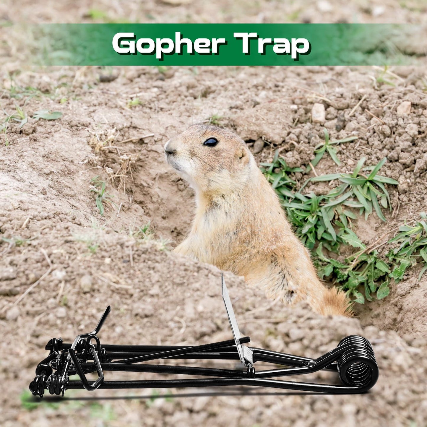 Qualirey 2 Pcs Outdoor Gopher Trap Easy Set Mole Trap Weather Resistant Gopher Killer Vole Killer for Lawn Garden Farm (Black)