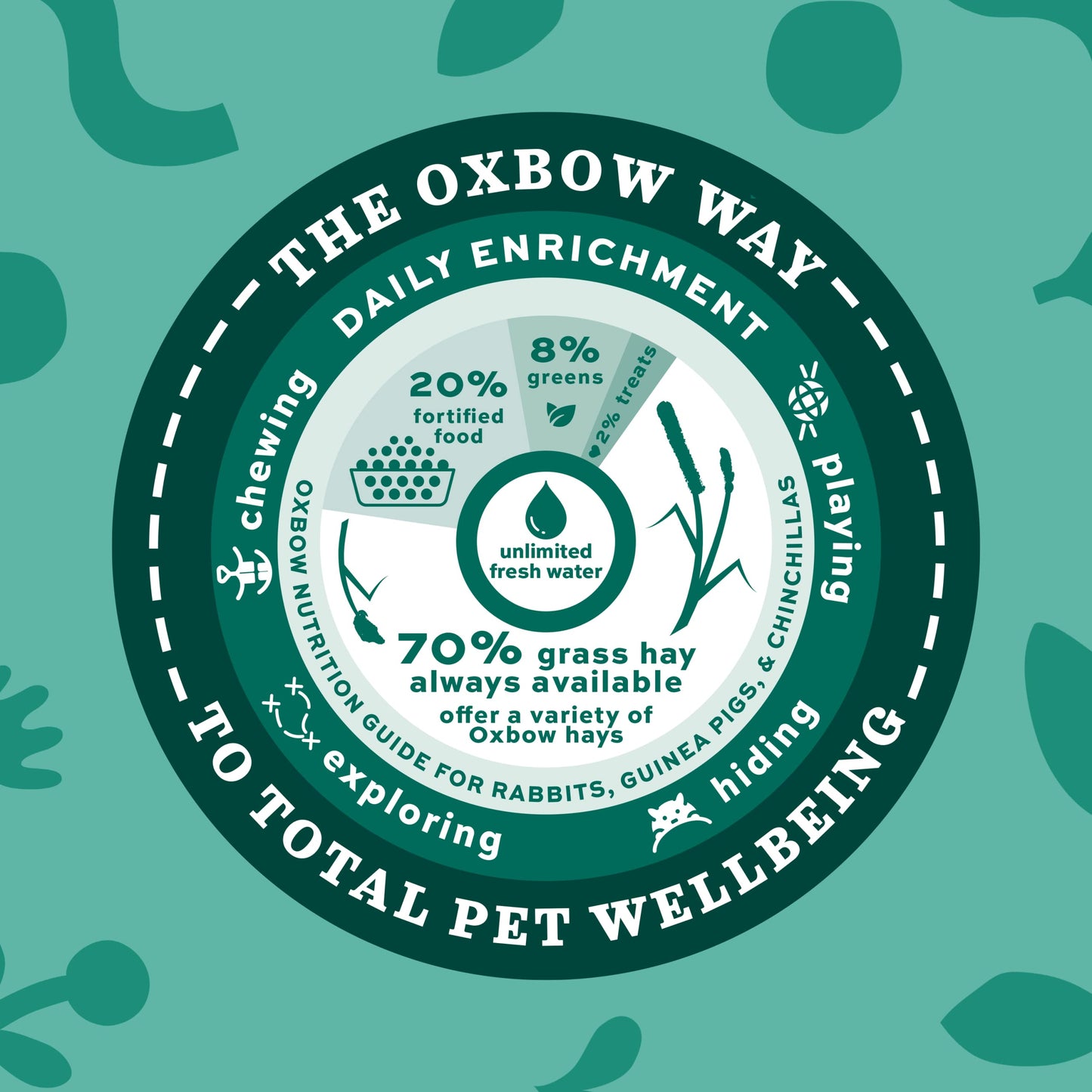 Oxbow Essentials Rabbit Food, Adult, Made with Oxbow Timothy Hay for Rabbit, Pet Pellets with Vitamins & Minerals, Small Animal Pet Products, Bunny Food, Made in USA, High Fiber, 10 lb. bag