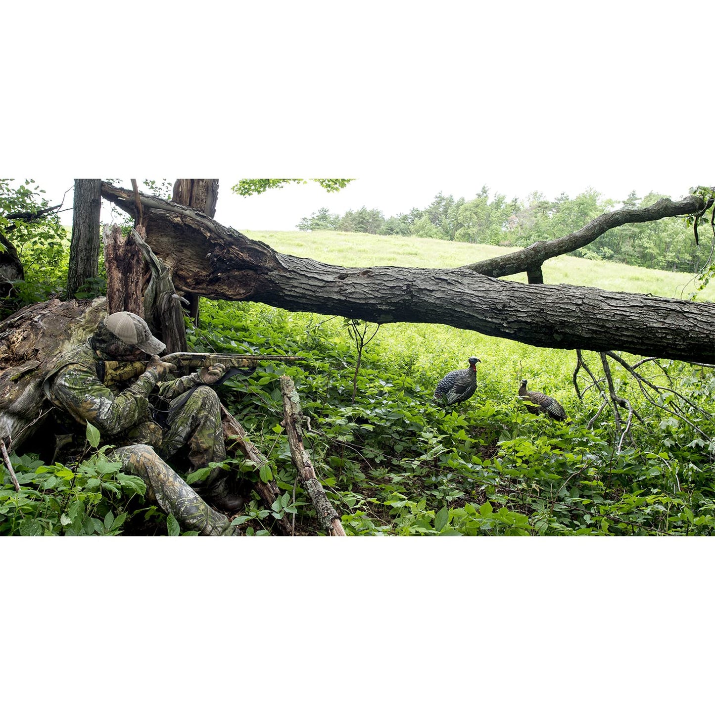 Avian X LCD Lookout Hen Lifelike Collapsible Turkey Gobbler Hunting Decoy w/ Carbon Stake, Carry Bag, & Storage Compression Strap
