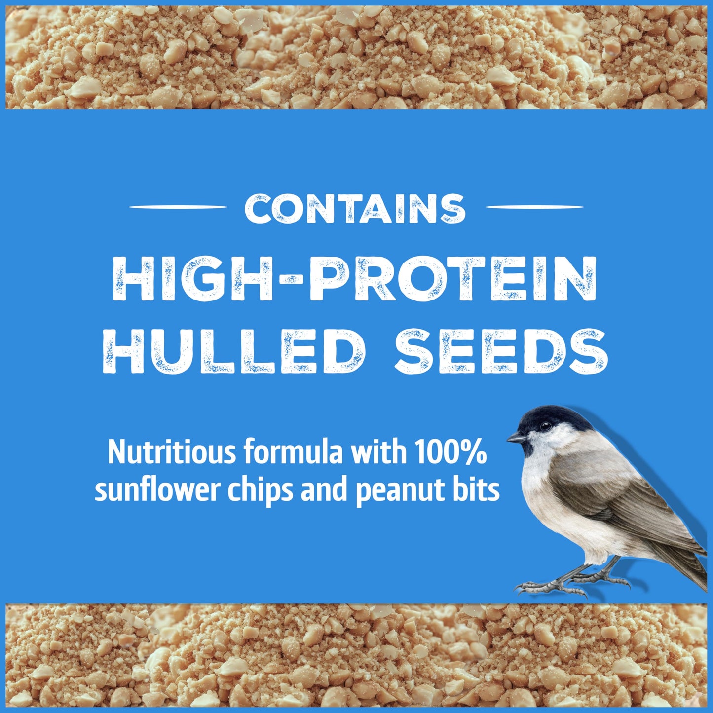 Pennington Pride Songbird Nut & Fruit Blend, Wild Bird Seed for Outside Feeders, Advanced Nutrition Formula for Bird Health, 10-lb. Bag