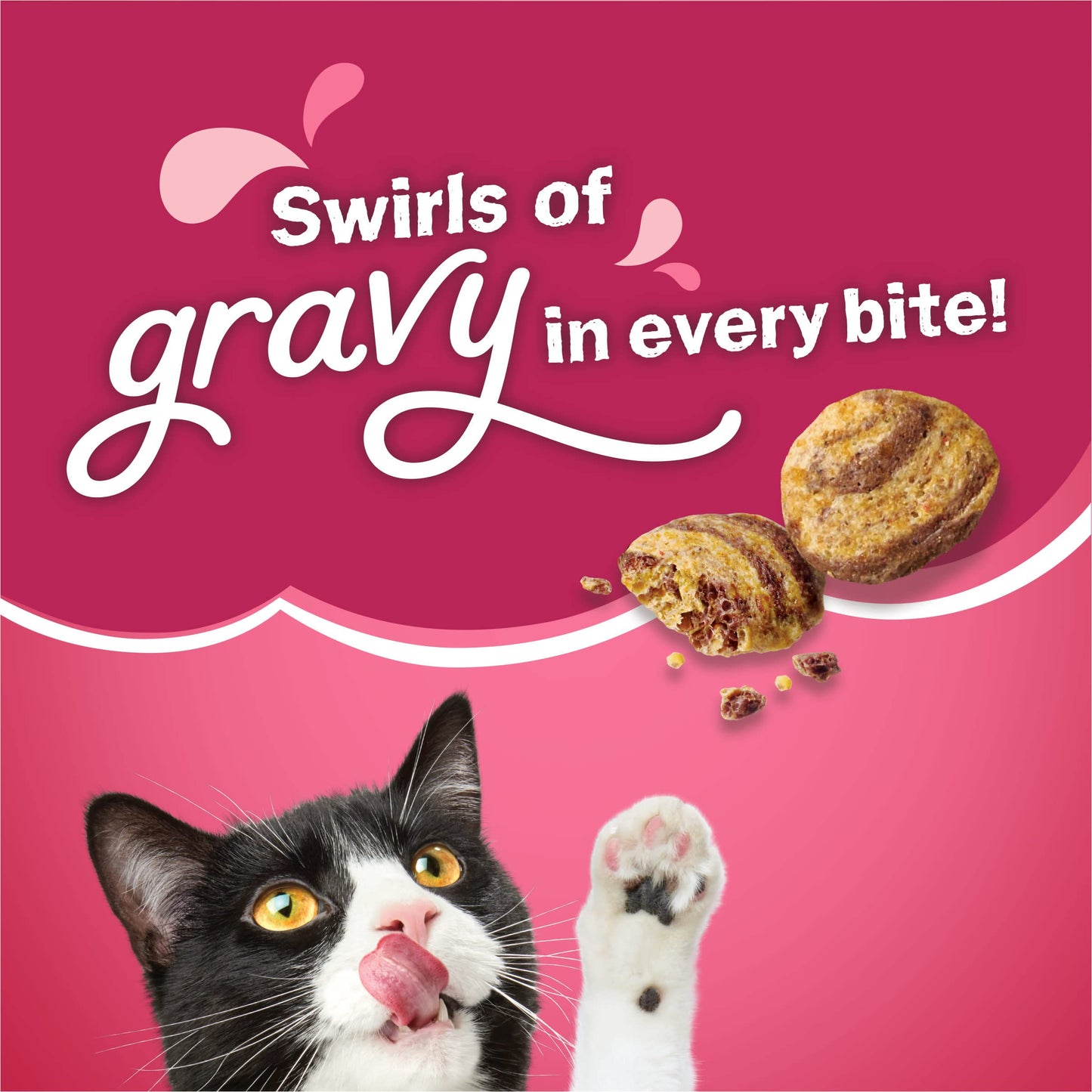 Purina Friskies Dry Cat Food Gravy Swirl'd With Flavors of Chicken, Salmon and Gravy - 22 lb. Bag