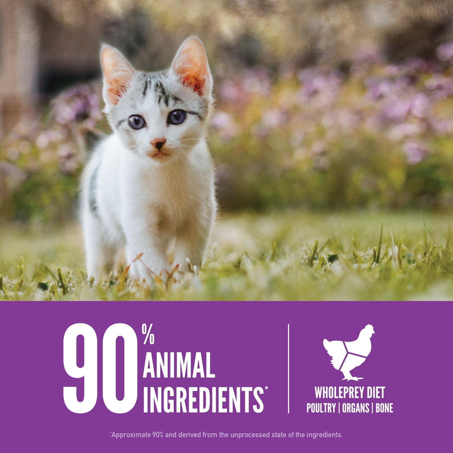 ORIJEN Grain Free High Protein Premium Dry Cat Food Original Recipe, 4lb Bag