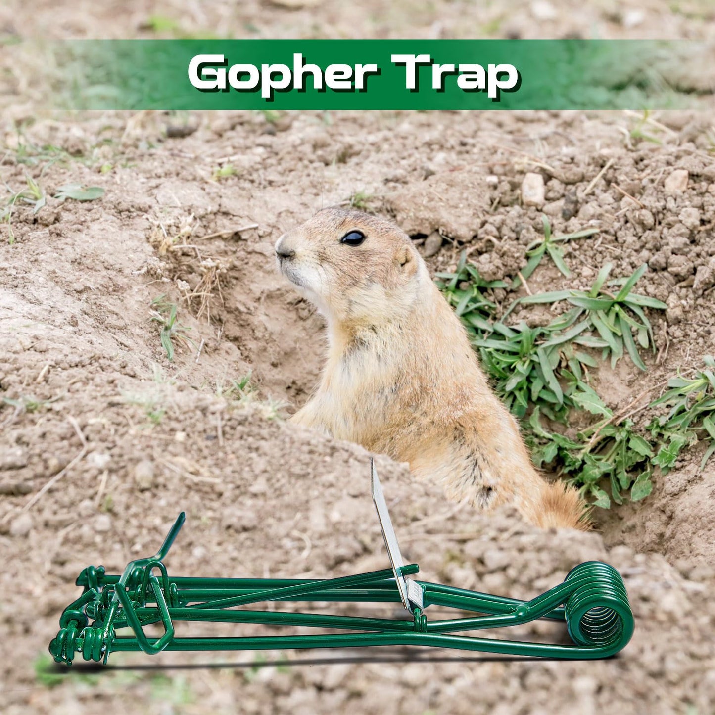 Qualirey 2 Pcs Outdoor Gopher Trap Easy Set Mole Trap Weather Resistant Gopher Killer Vole Killer for Lawn Garden Farm (Black)