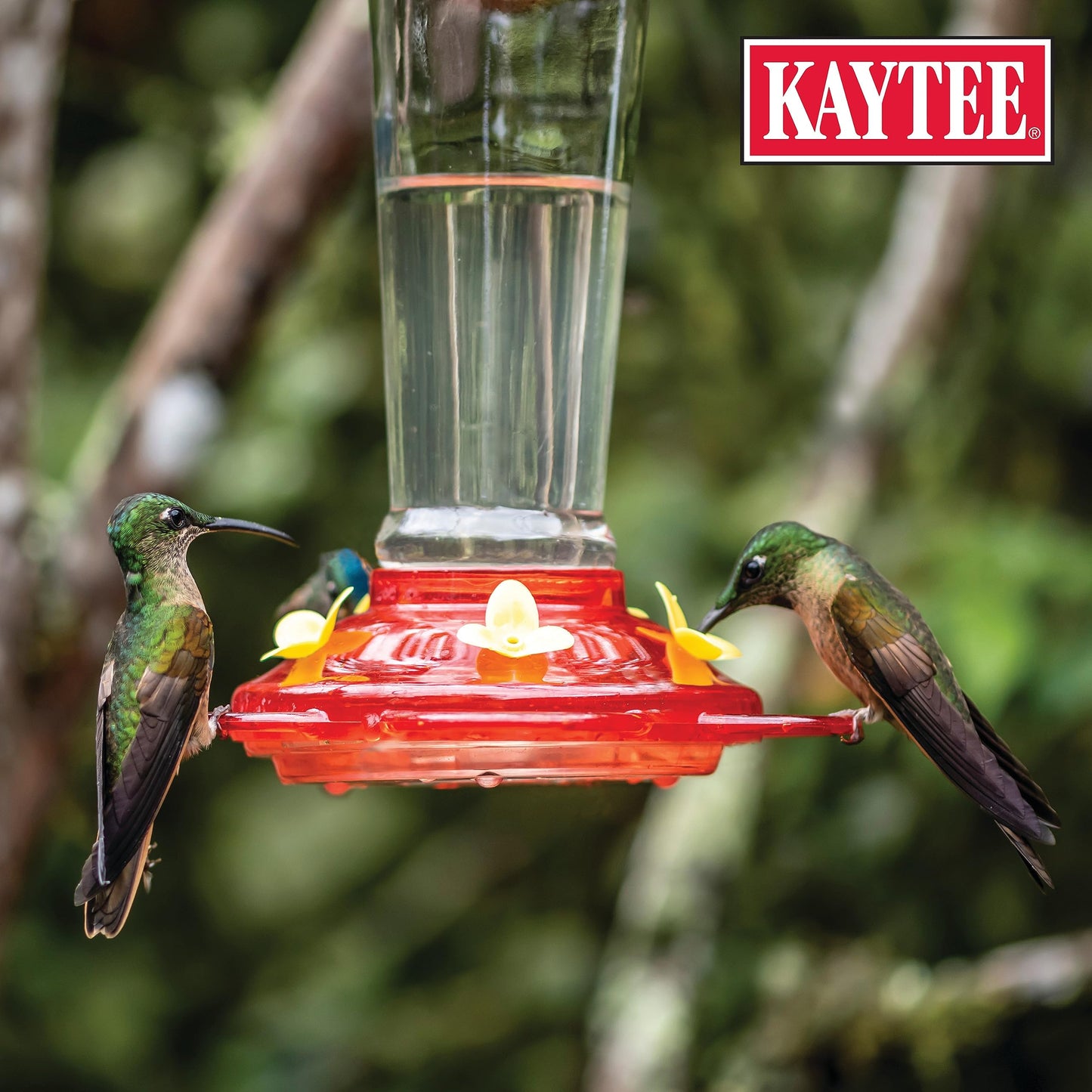 Kaytee Hummingbird ElectroNectar Wild Bird Food, Ready to Use, 64 Ounces