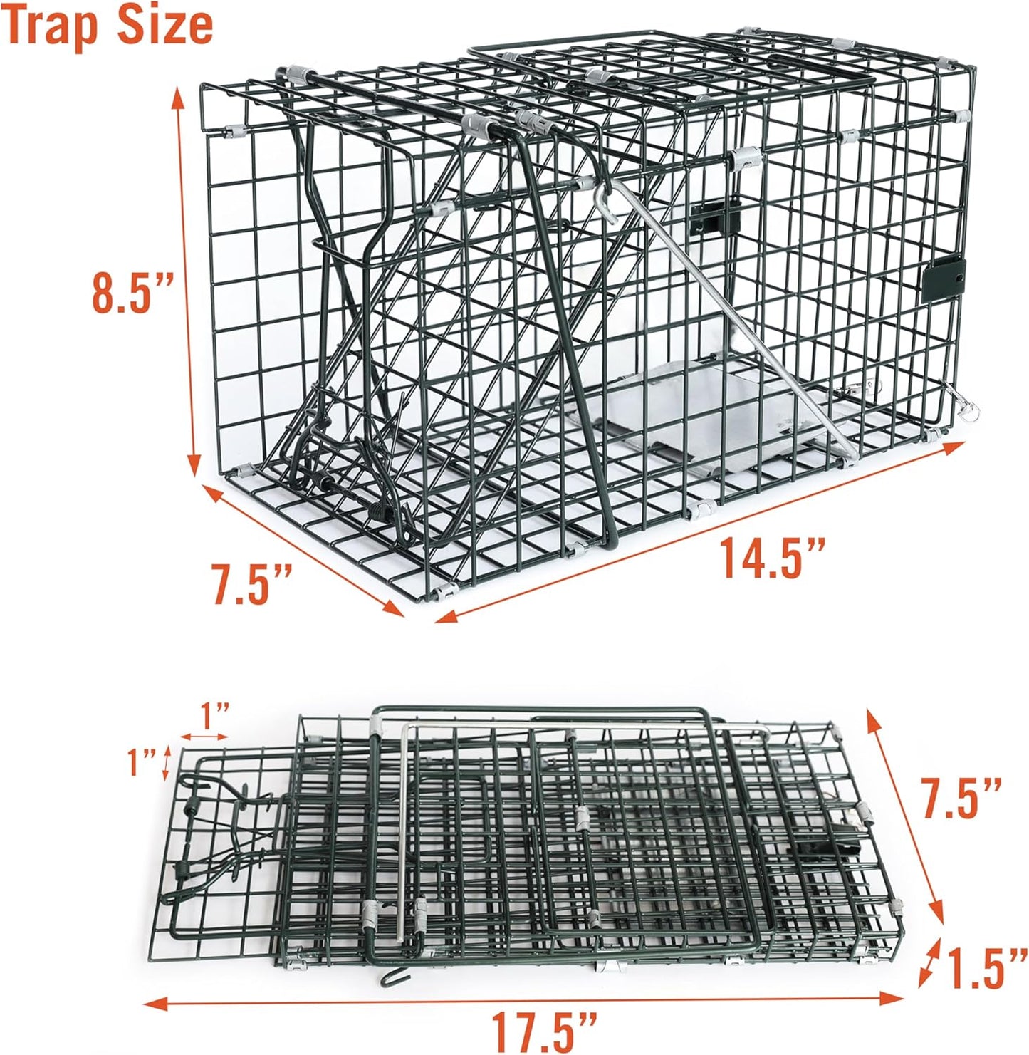 HOMESTEAD Collapsible Live Animal Trap 14.5” x 7.5” x 8.5” - Foldable Metal Trap for Small Rat, Chipmunk and Small Squirrel