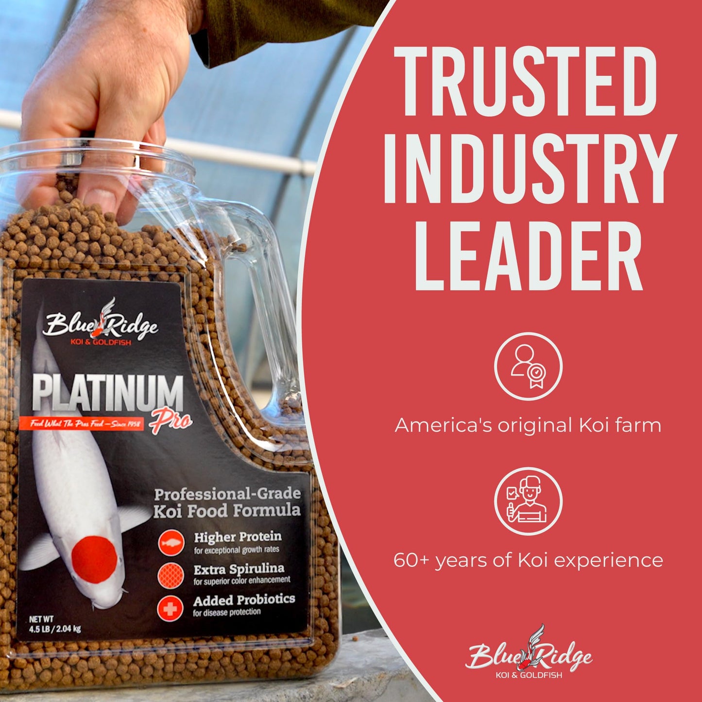 Blue Ridge Koi Fish Food 14lb - Koi Food 3/16” Platinum Pro Formula Goldfish Food, Premium Fish Food for Ponds, Ponds Fish Food, Floating Pond Pellet