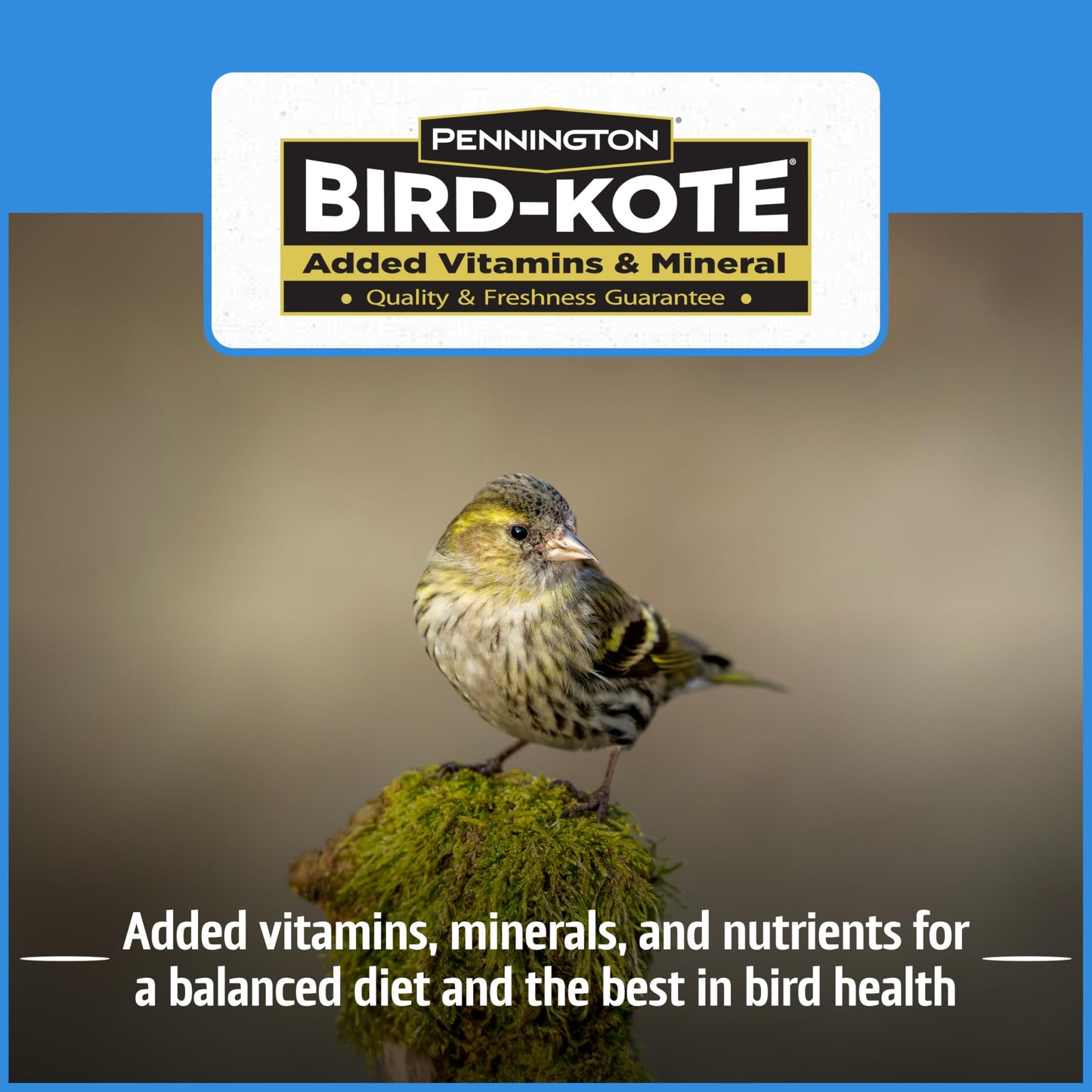 Pennington Pride Songbird Nut & Fruit Blend, Wild Bird Seed for Outside Feeders, Advanced Nutrition Formula for Bird Health, 10-lb. Bag
