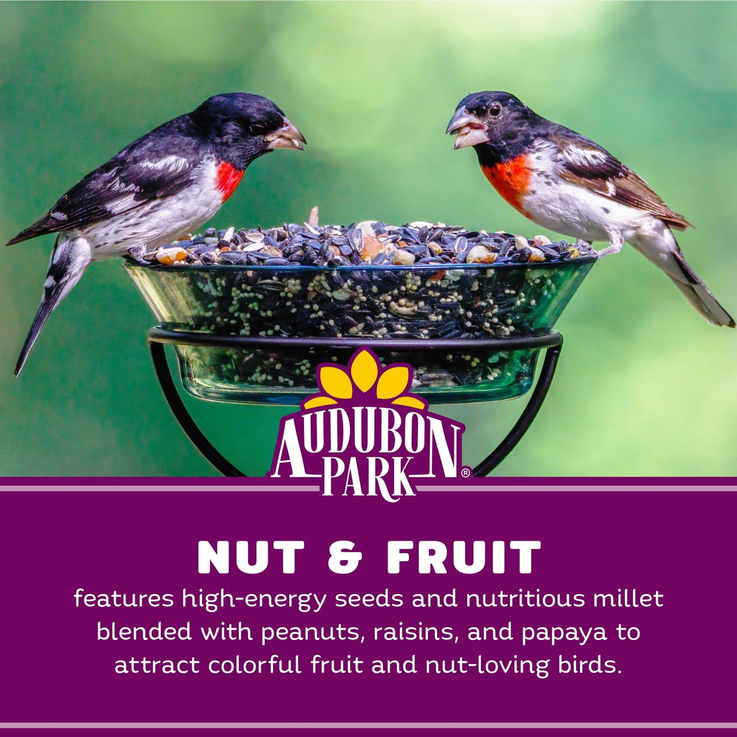 Audubon Park Nut & Fruit Wild Bird Seed – 15 lb. Premium Blend with Sunflower Seeds, Peanuts, Safflower & Dried Fruit – Bird Food for Outside Feeders