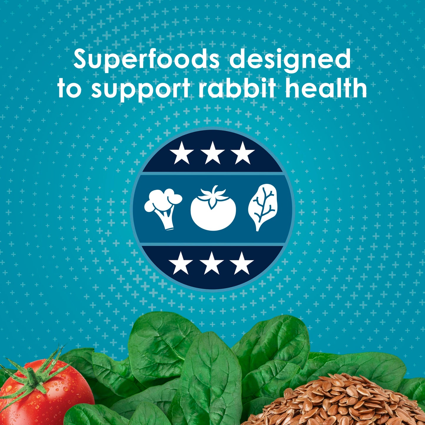 Kaytee Forti-Diet Pro Health Adult Rabbit Food, 5-Lb Bag