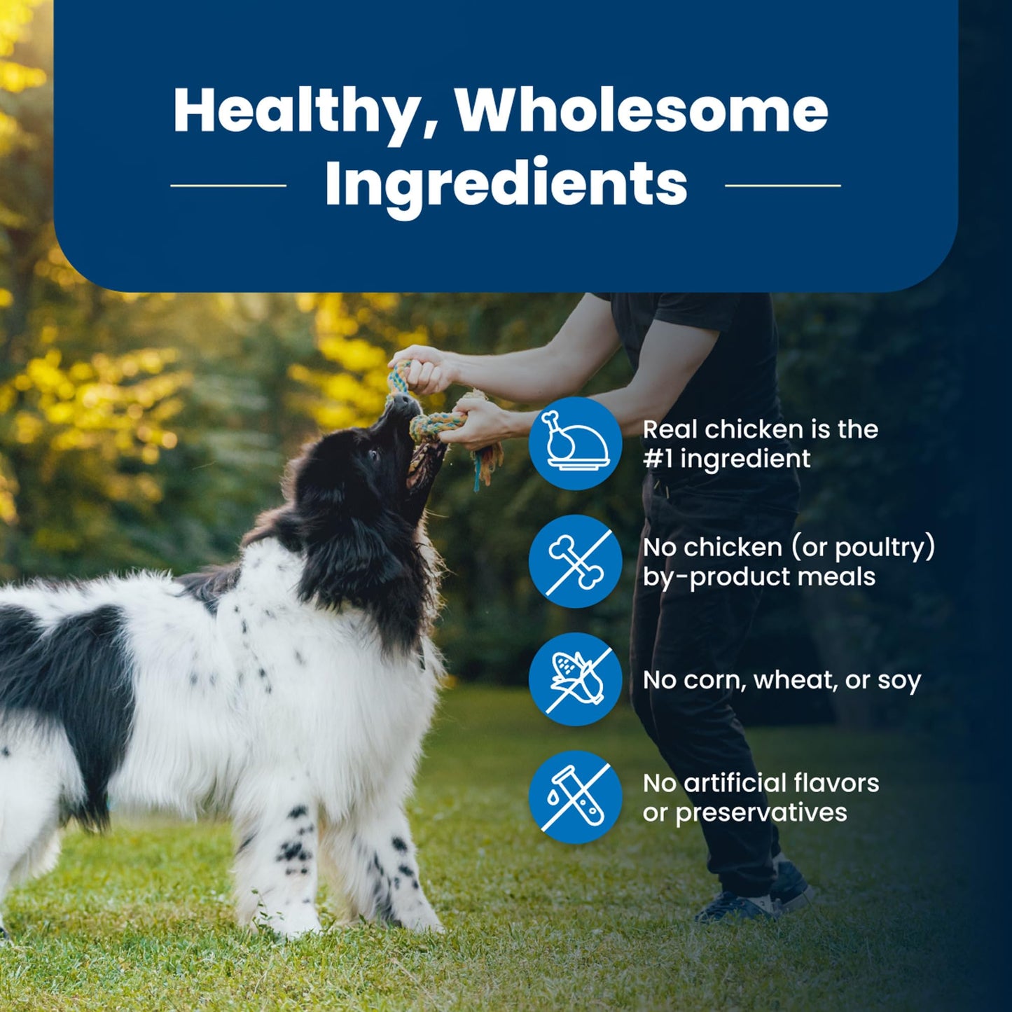 Blue Buffalo Life Protection Formula Adult Dry Dog Food, Helps Build and Maintain Strong Muscles, Made with Natural Ingredients, Chicken & Brown Rice Recipe, 15-lb. Bag