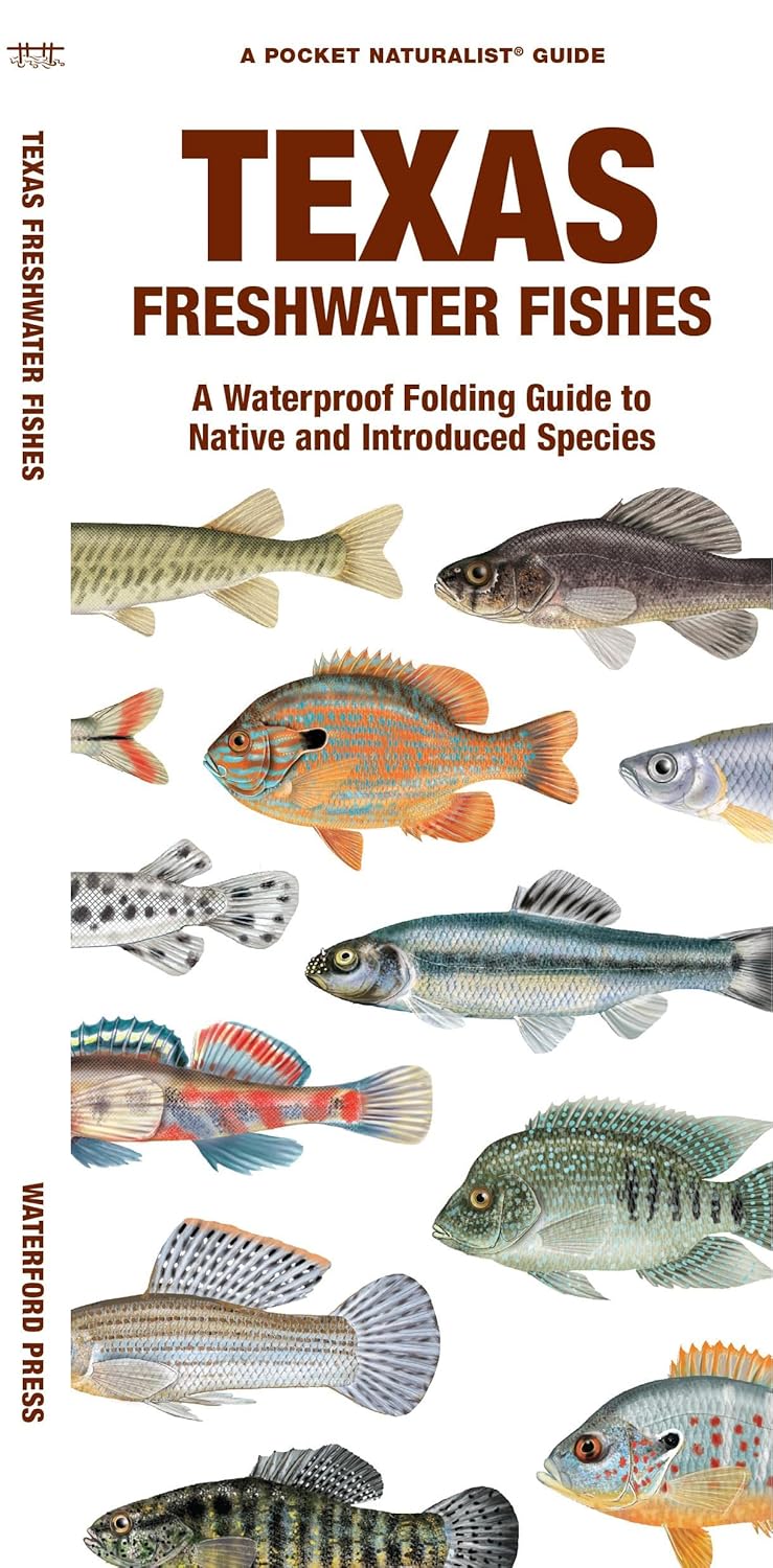 Texas Freshwater Fishes: A Folding Guide to Native and Introduced Species (Nature Observation North America)